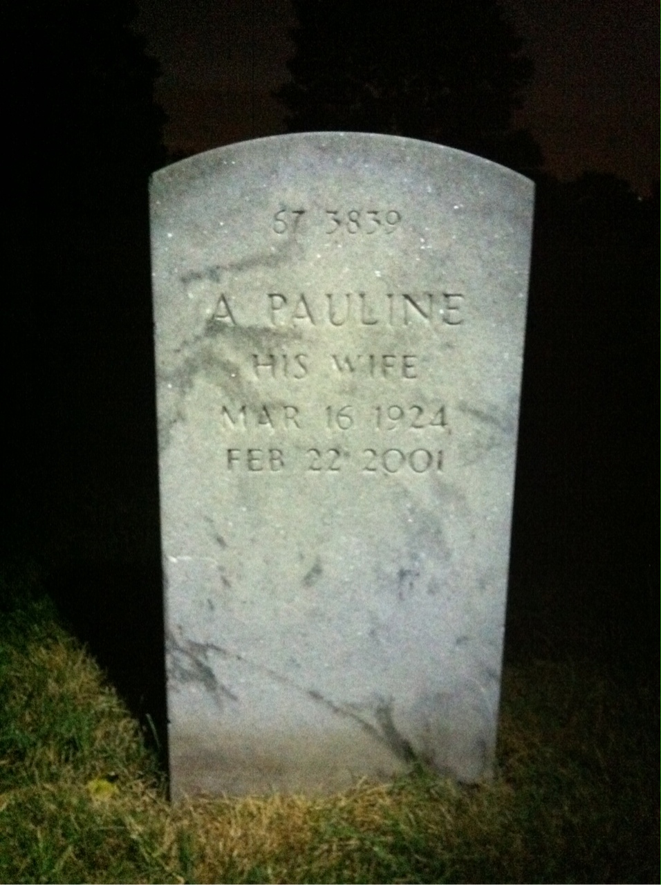 Back of headstone — Henry Myers