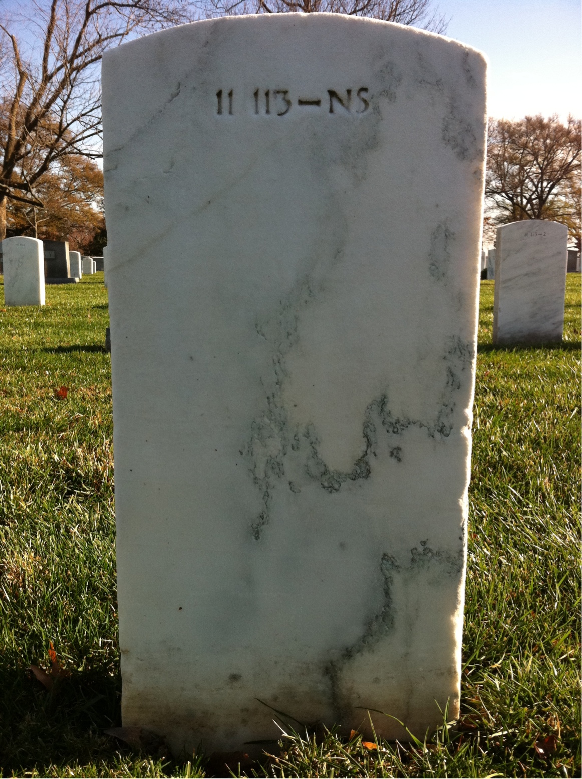 Back of headstone — Rose Anderson
