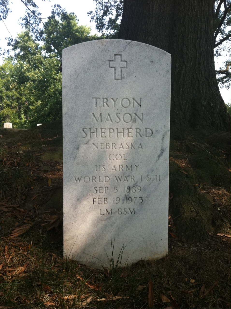 Tryon M Shepherd