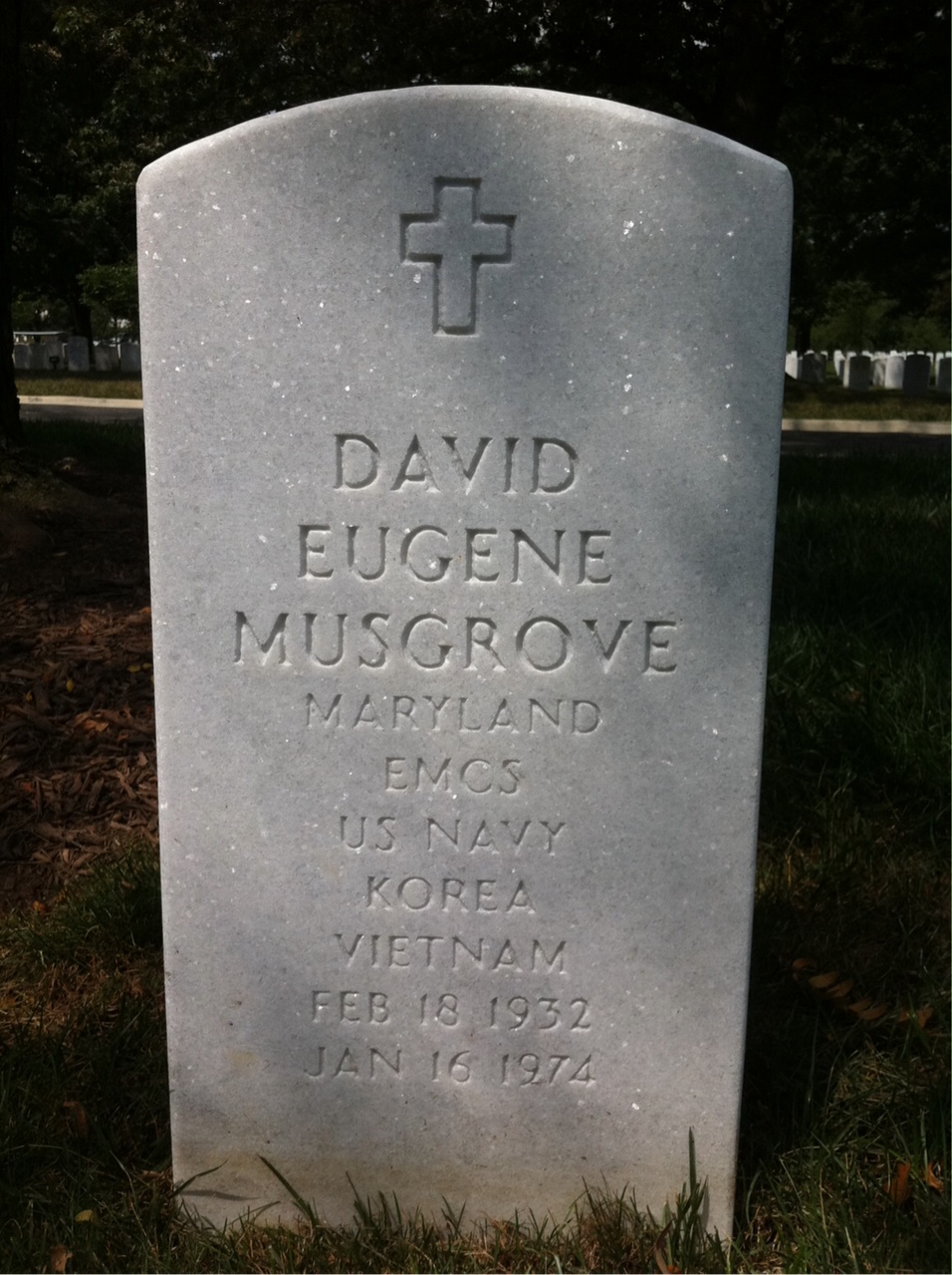 David Musgrove