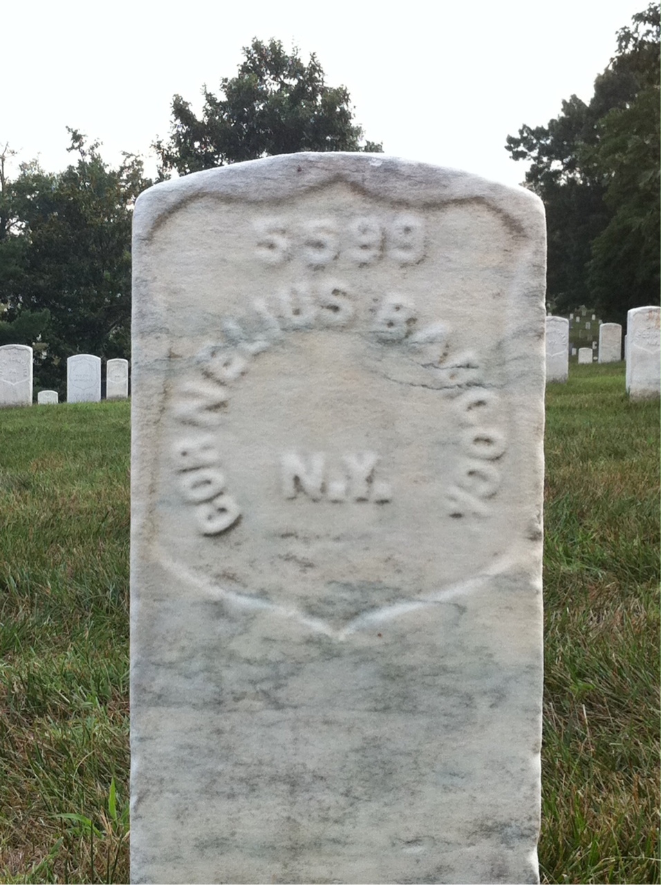 Cornelius Babcock
