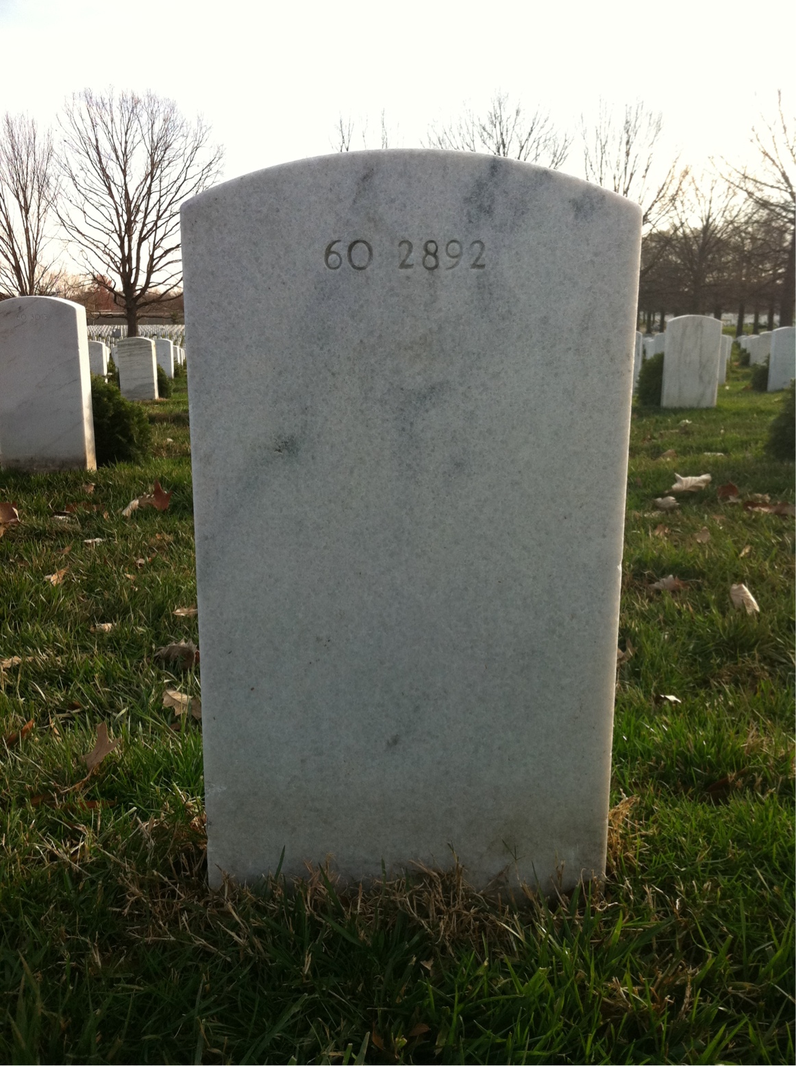 Back of headstone — Vernon Marion Malahy