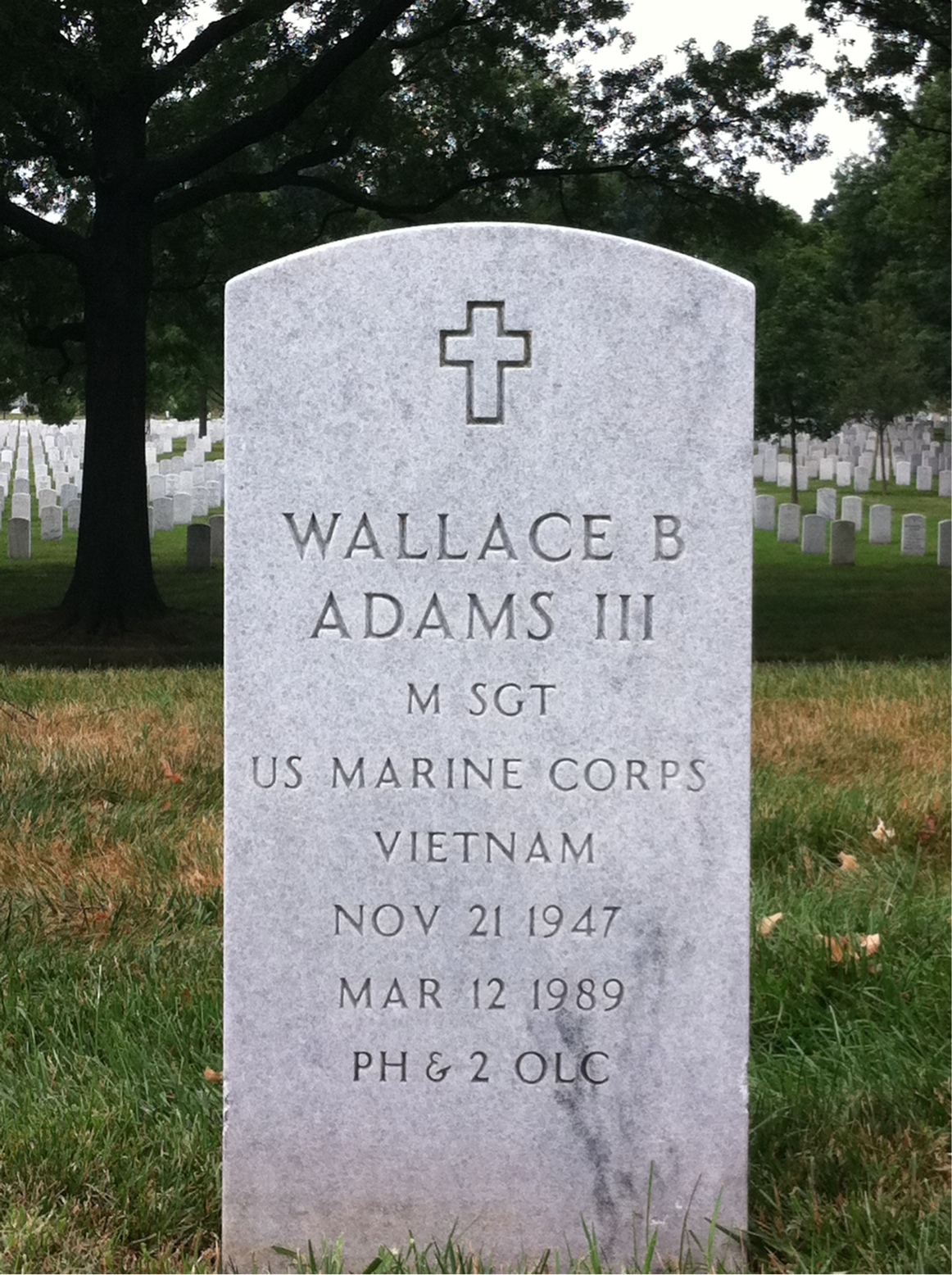 Wallace Adams