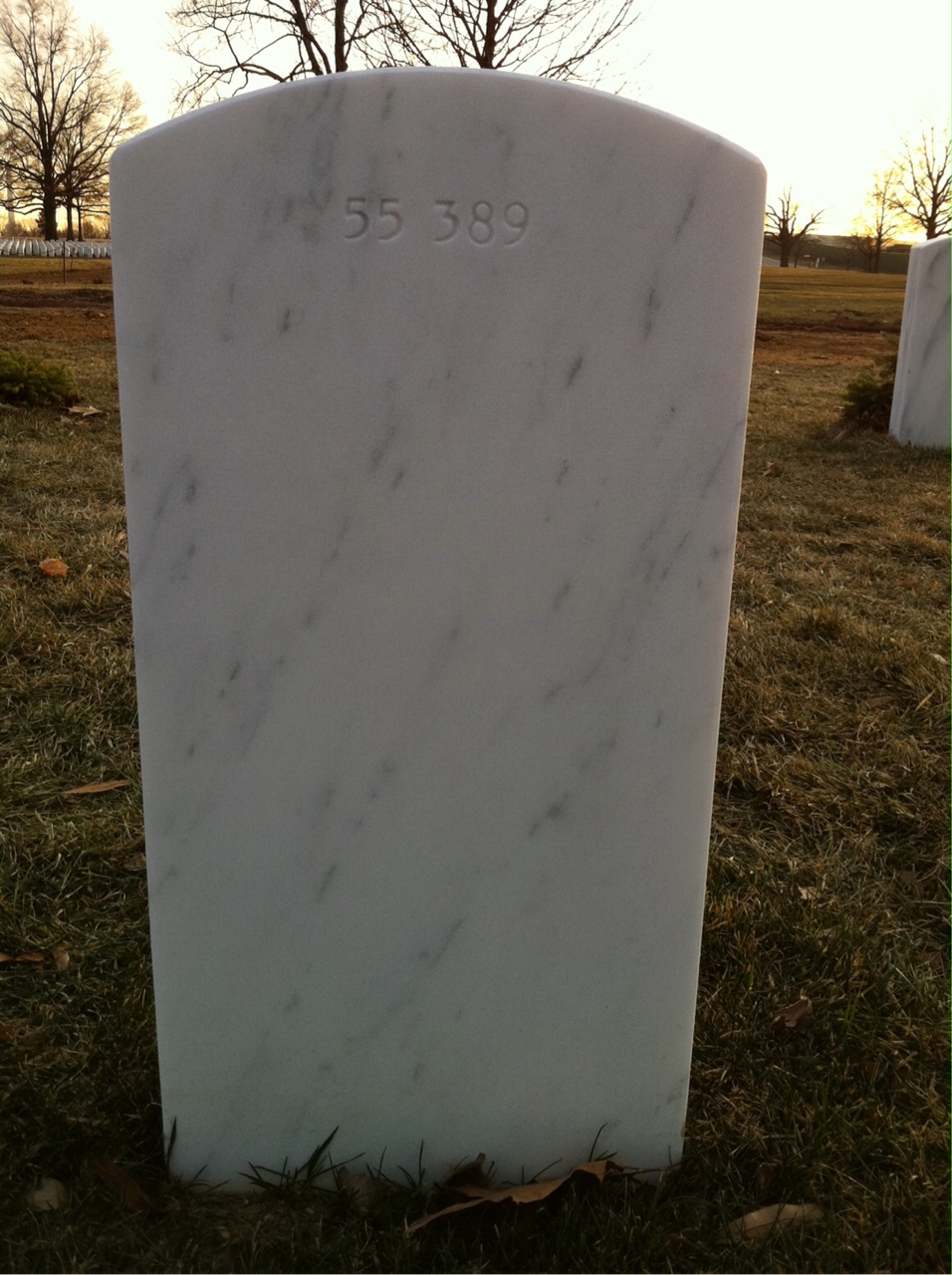 Back of headstone — Thomas Henry Schaub