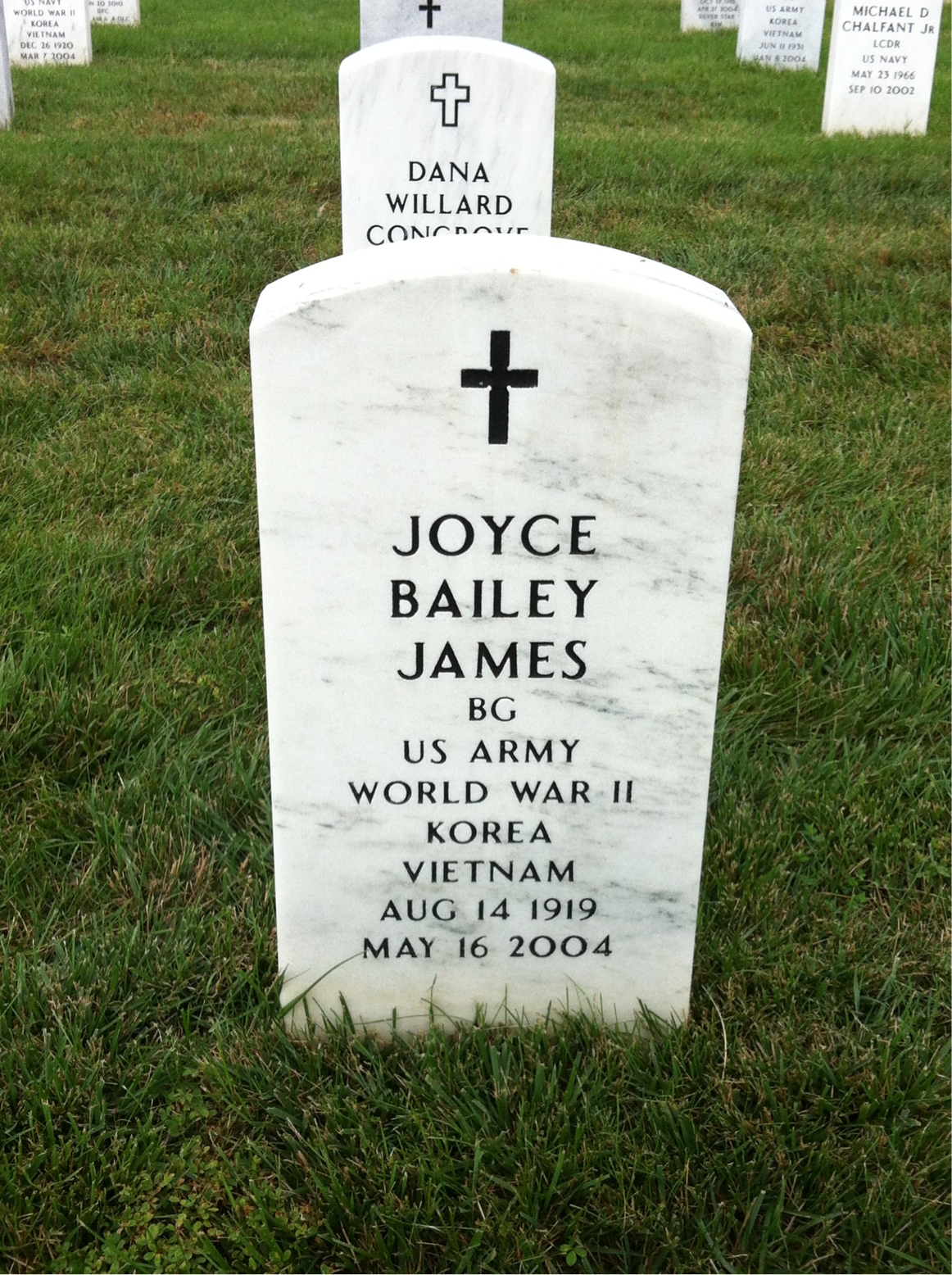Joyce James