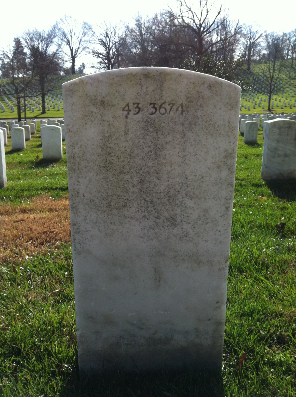 Back of headstone — James Murray