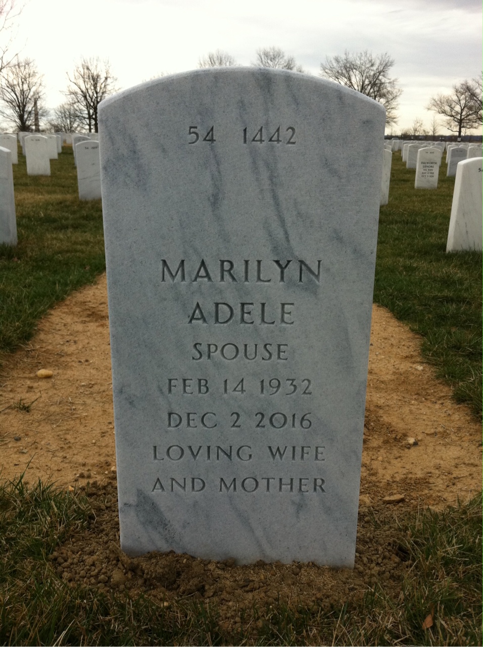 Back of headstone — Leonard O Siegel
