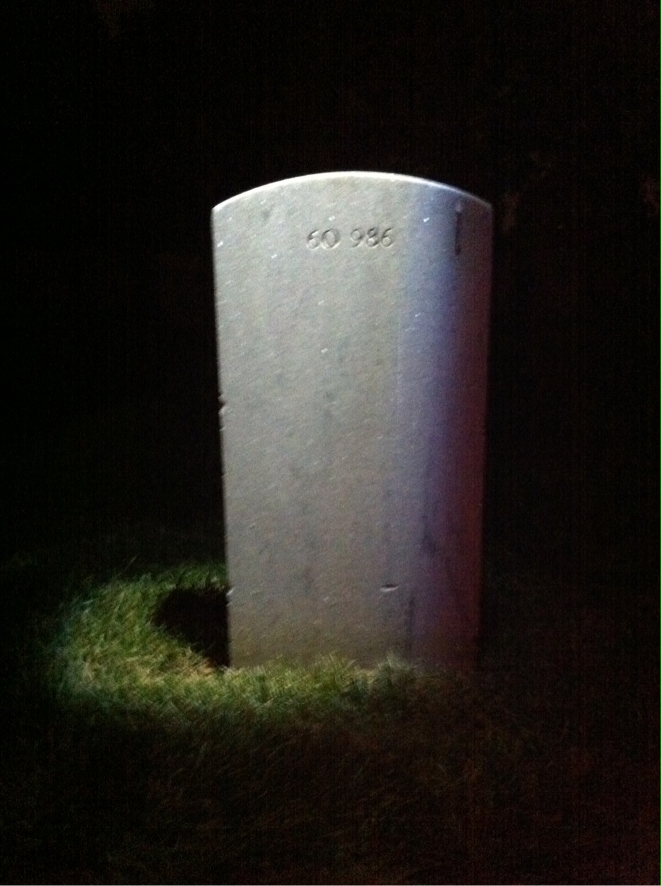 Back of headstone — Vernon Bailey