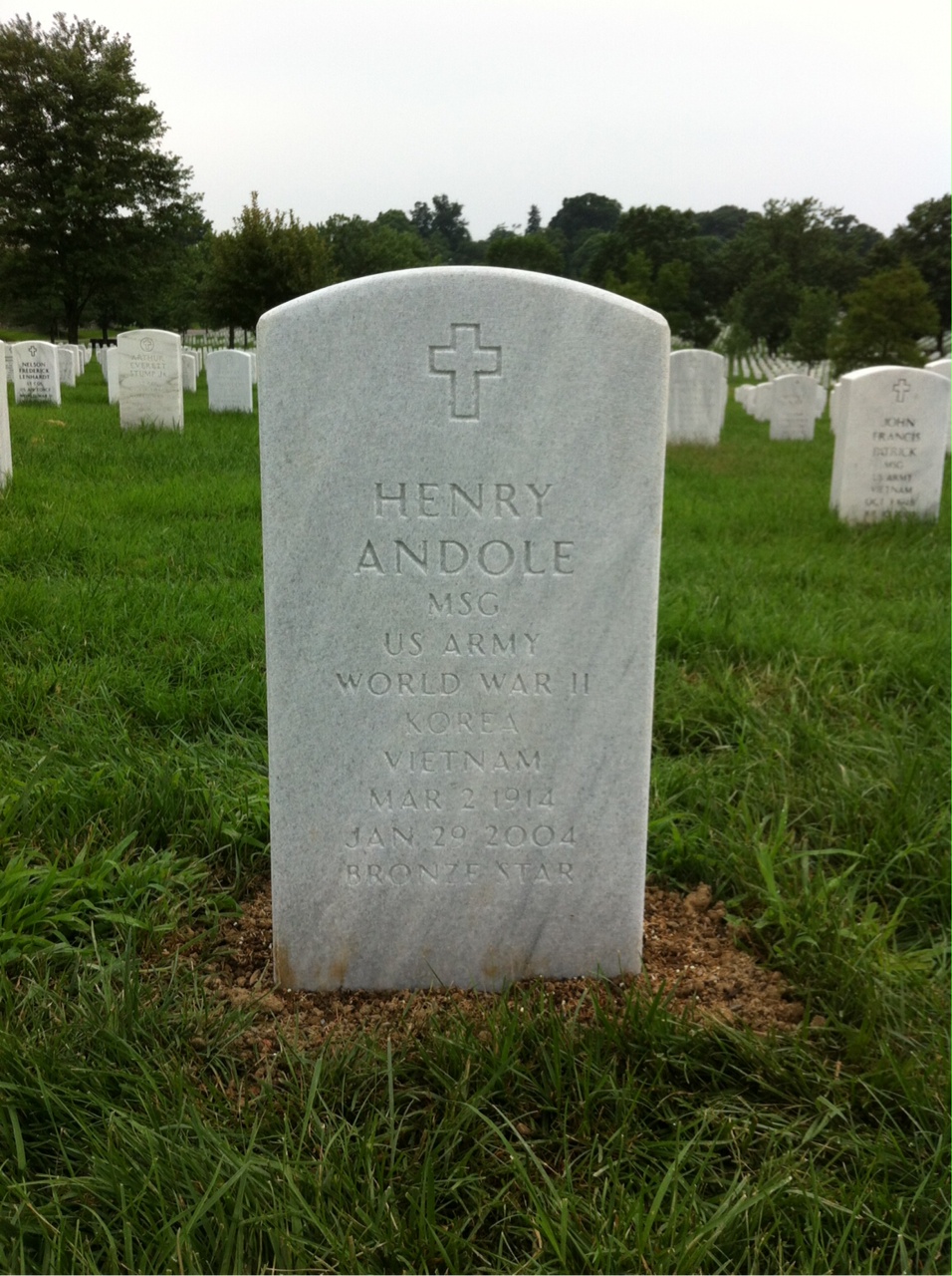 Henry Andole