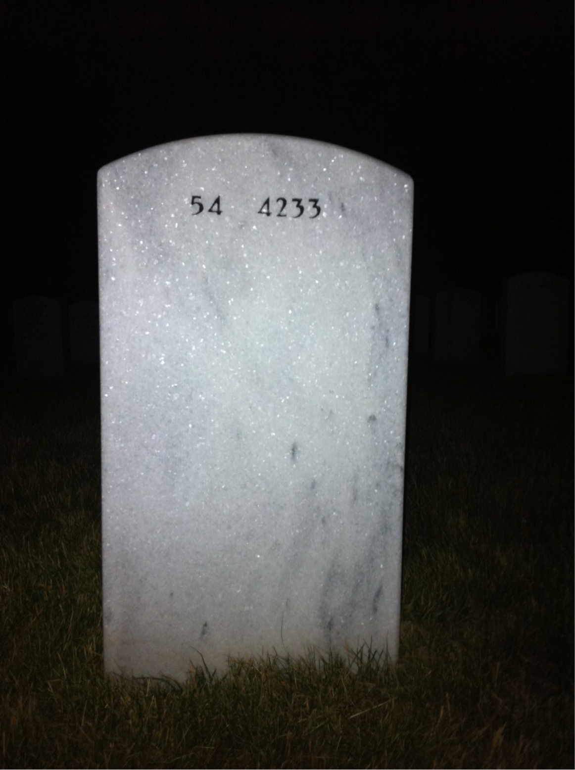 Back of headstone — Robert Doyle