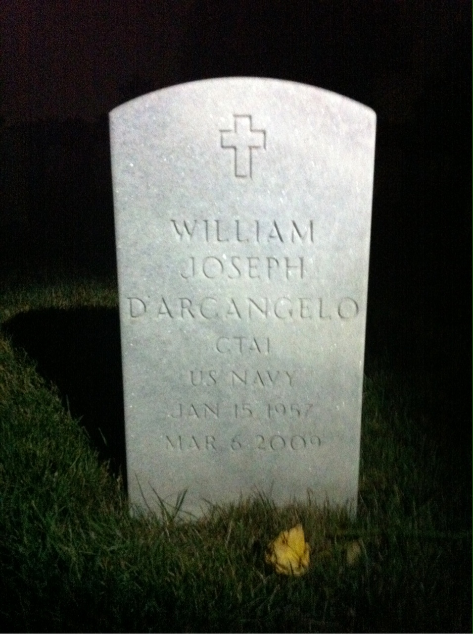William D'Arcangelo