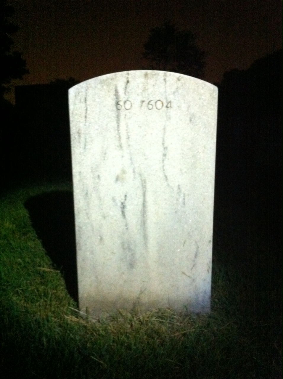 Back of headstone — William S Lake