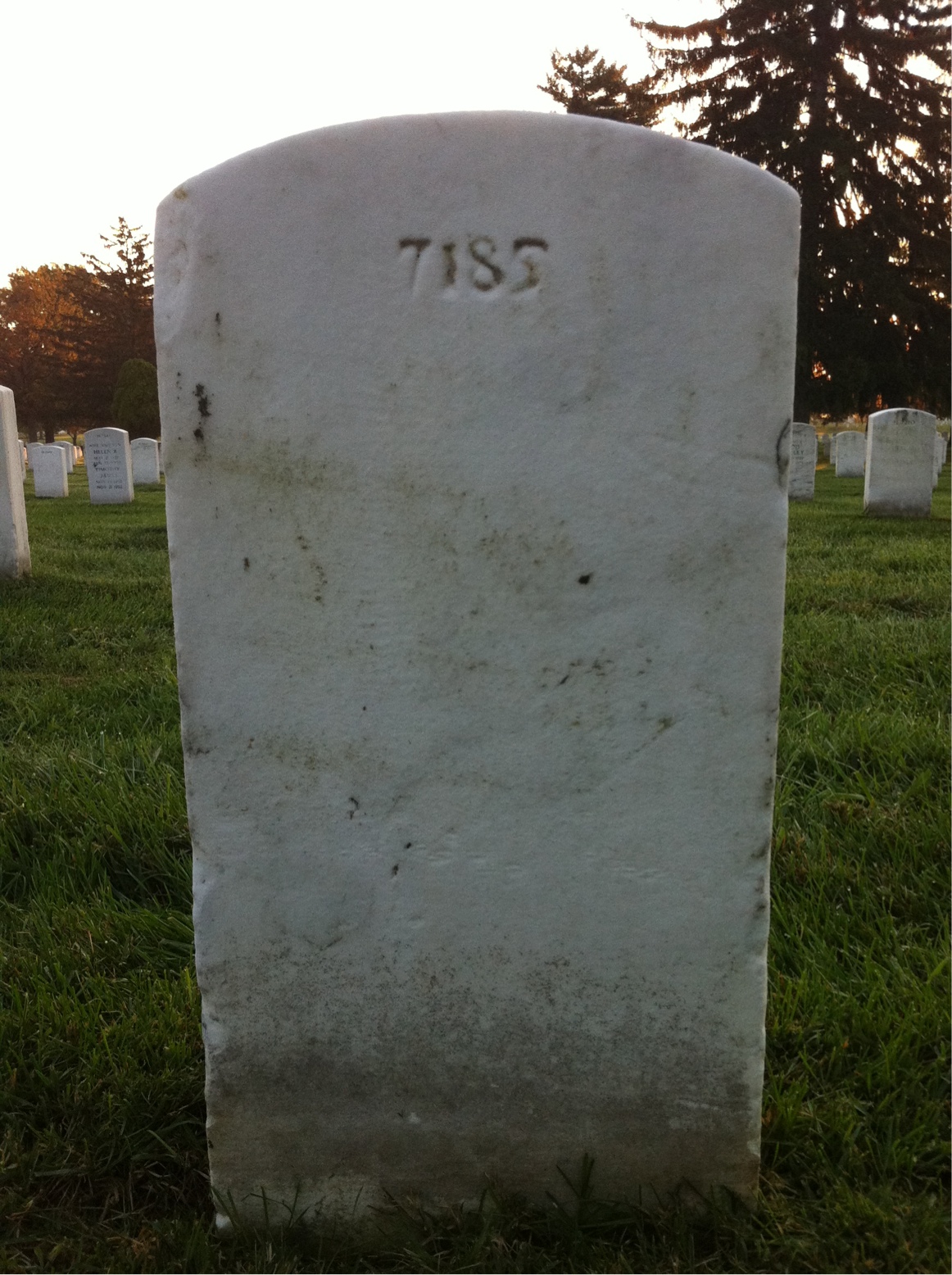 Back of headstone — Max Adams