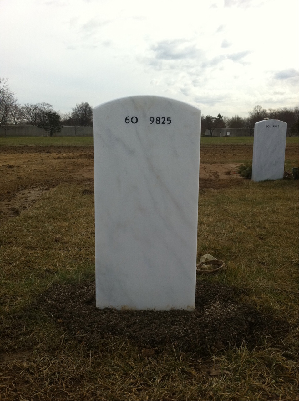 Back of headstone — Wade F Wilkenson
