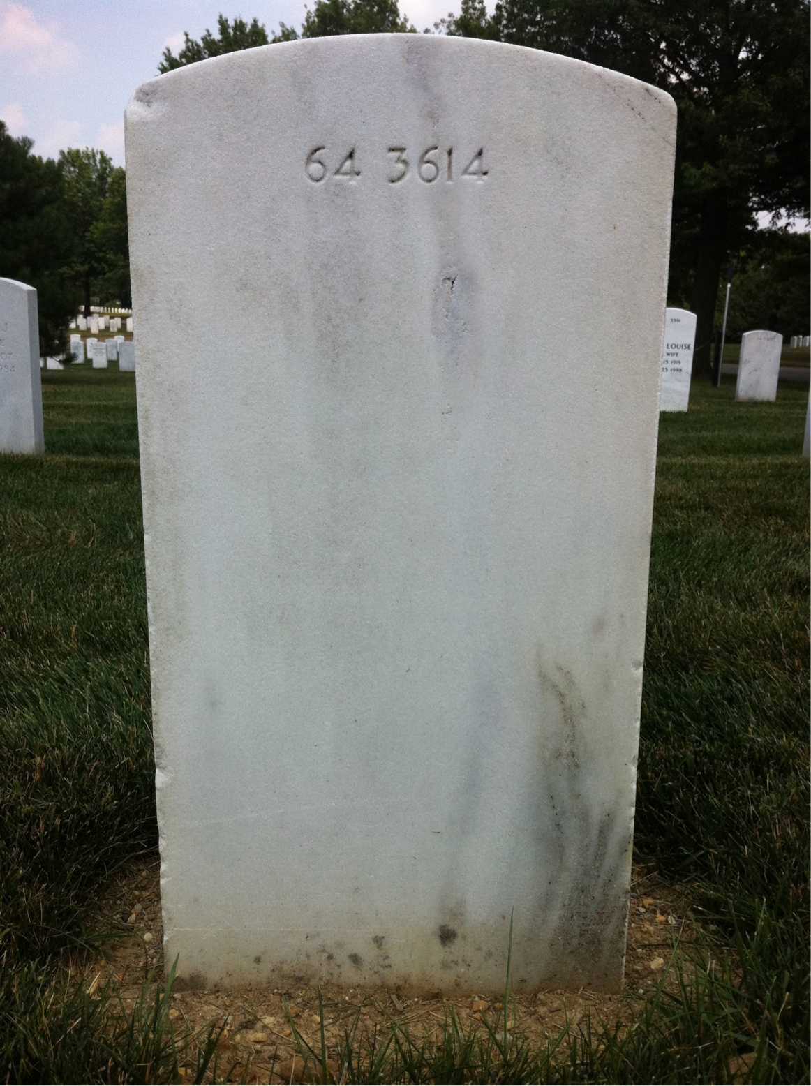 Back of headstone — Wayne Muse