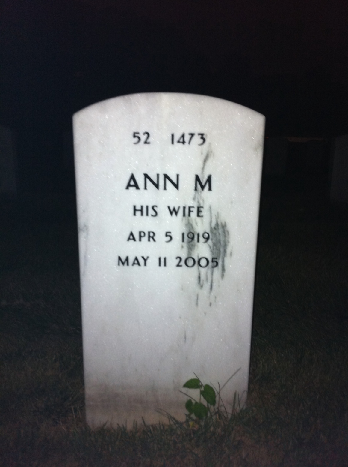 Back of headstone — Wilbur Wirth