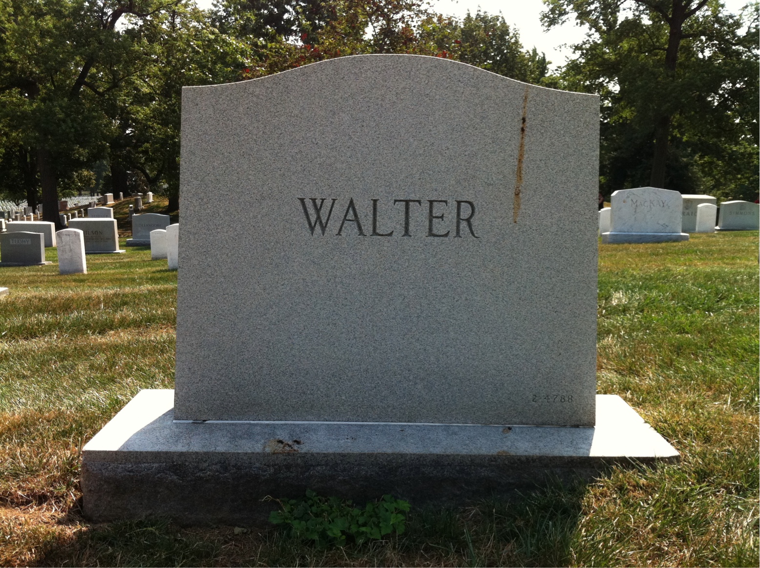 Back of headstone — Henry Walter