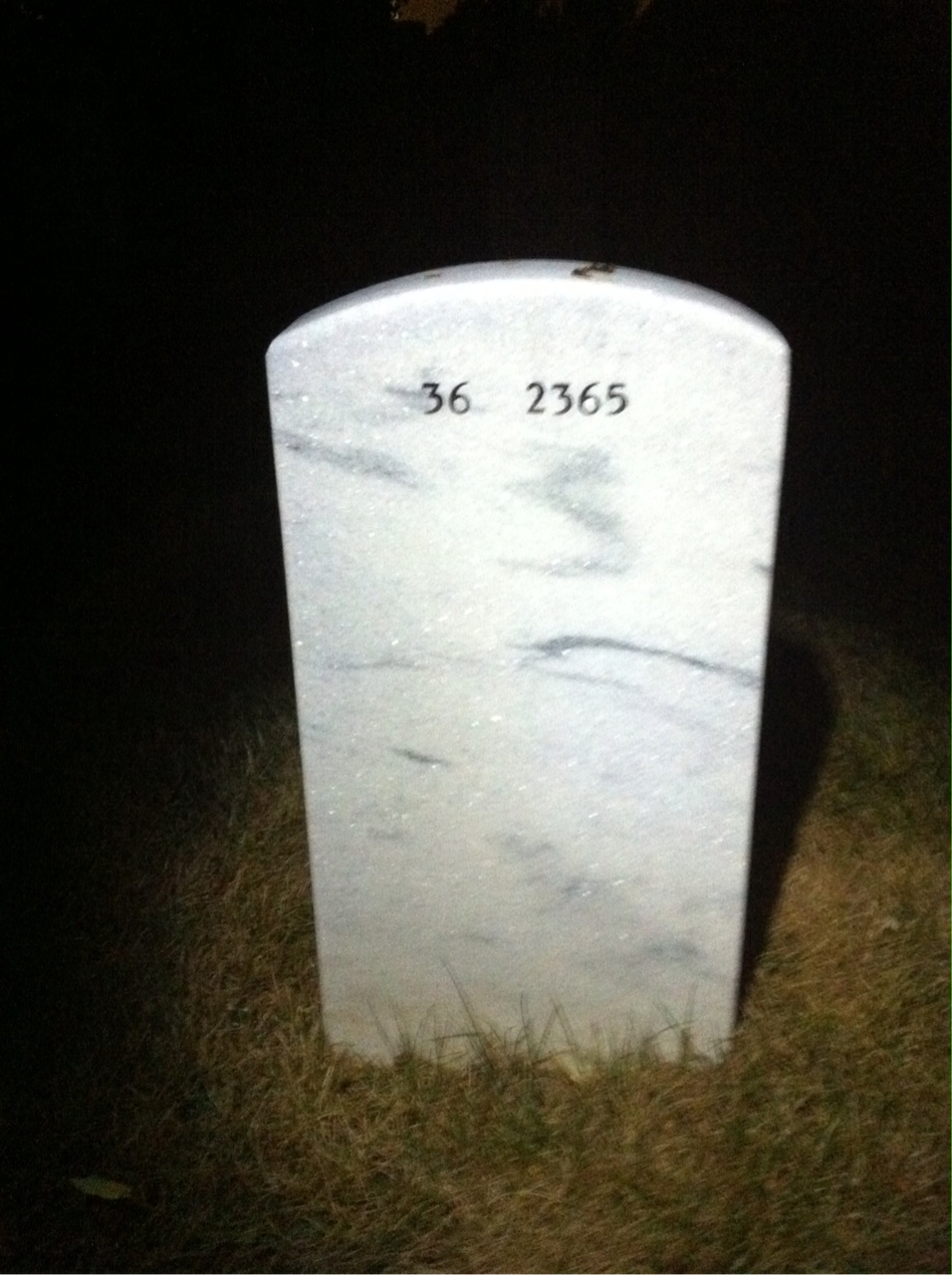 Back of headstone — Ronald Mintz