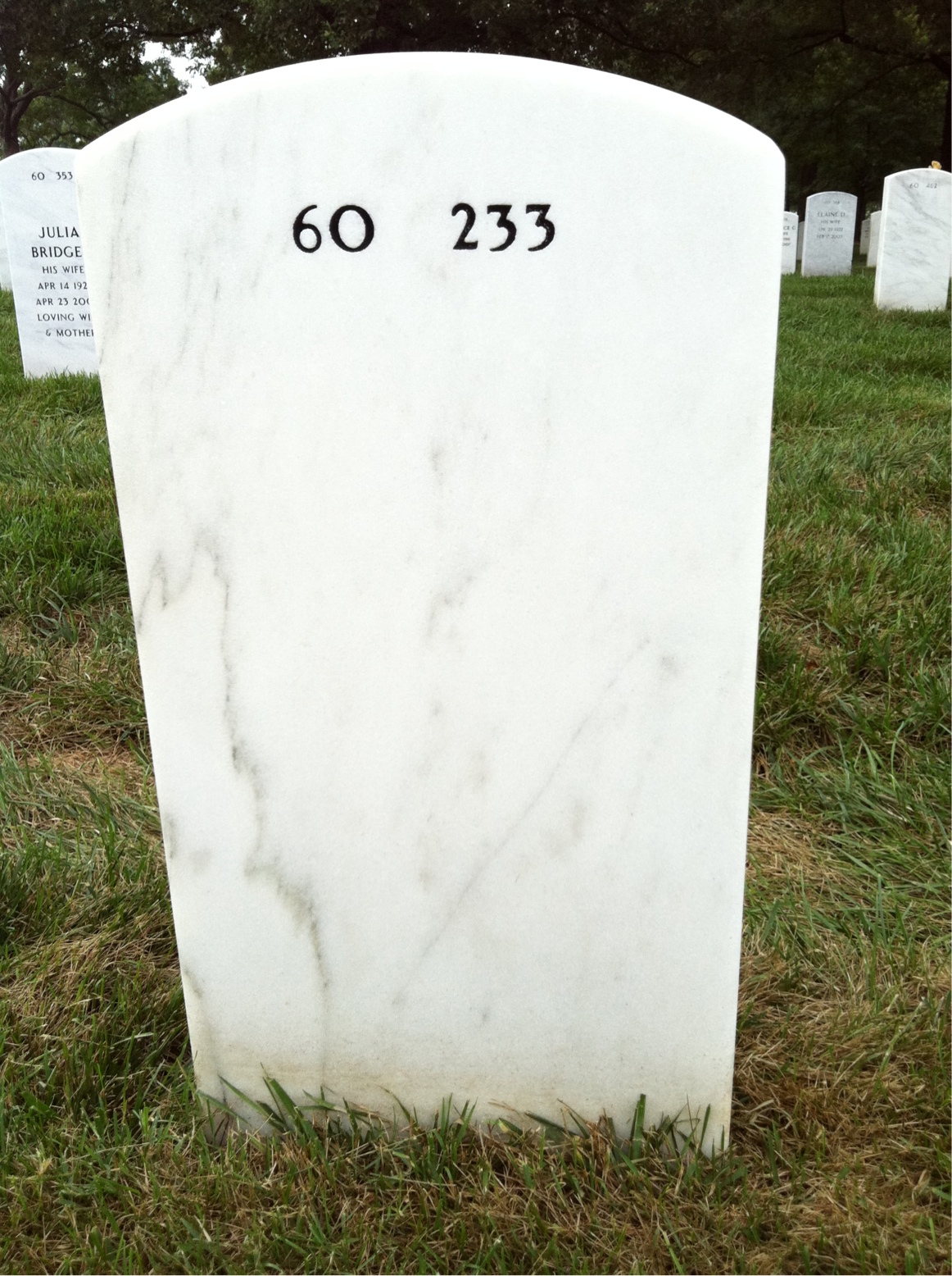 Back of headstone — Albert Paul