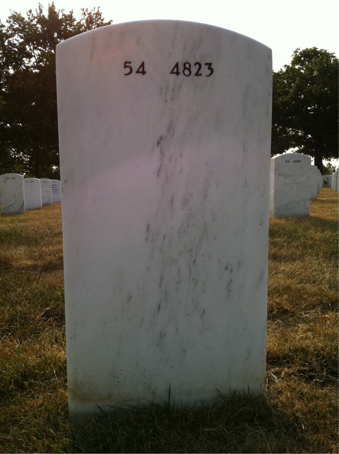Back of headstone — William Thomte
