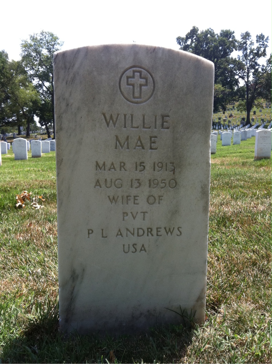 Willie Andrews