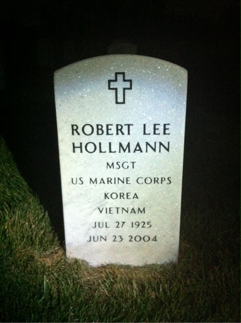 Robert Hollmann