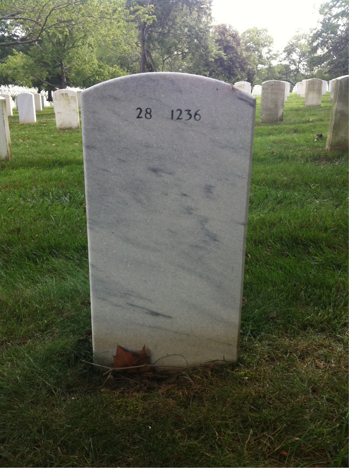 Back of headstone — Judson Brown