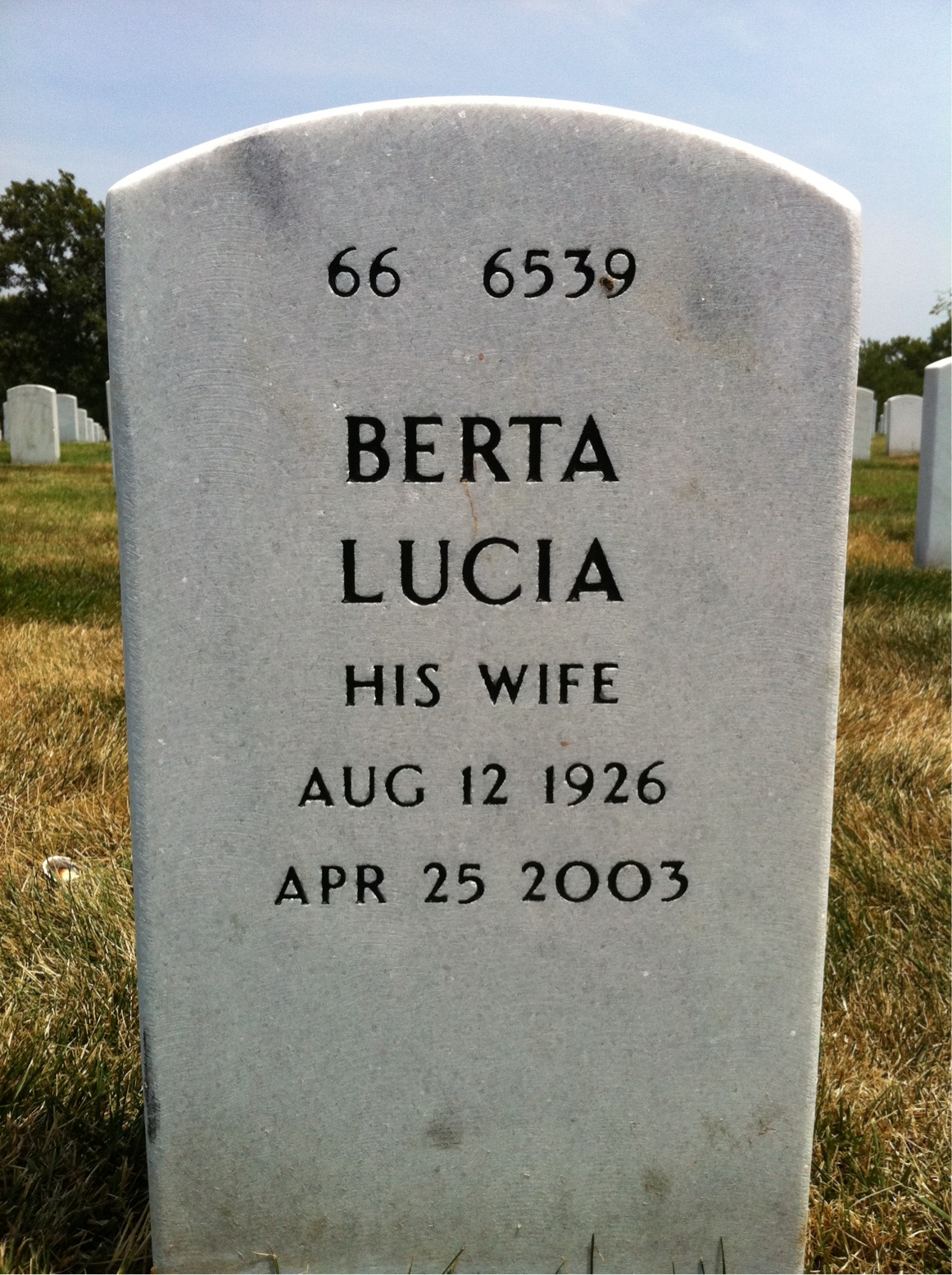 Back of headstone — Robert Shaefer