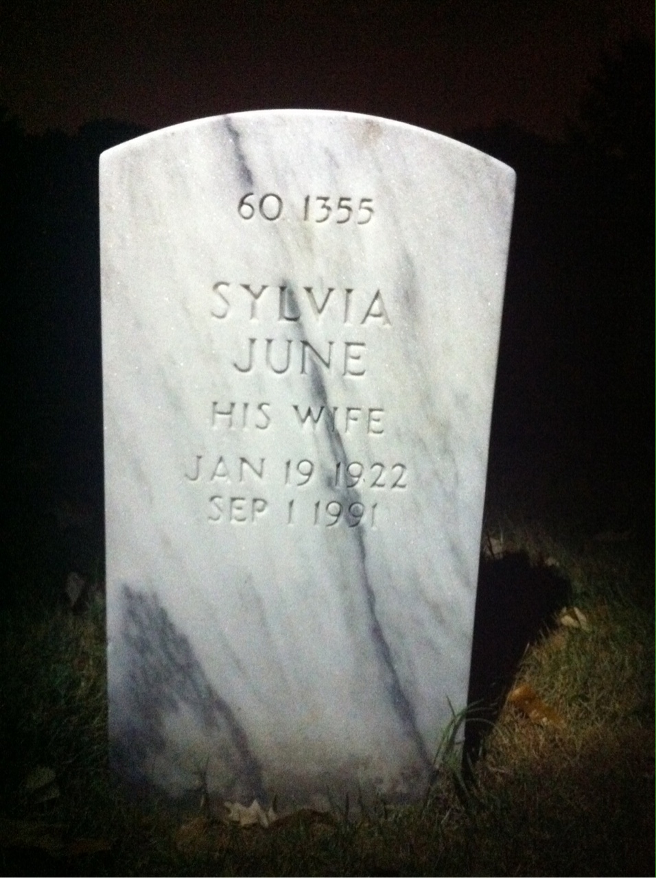 Back of headstone — Alvin Mcnatt