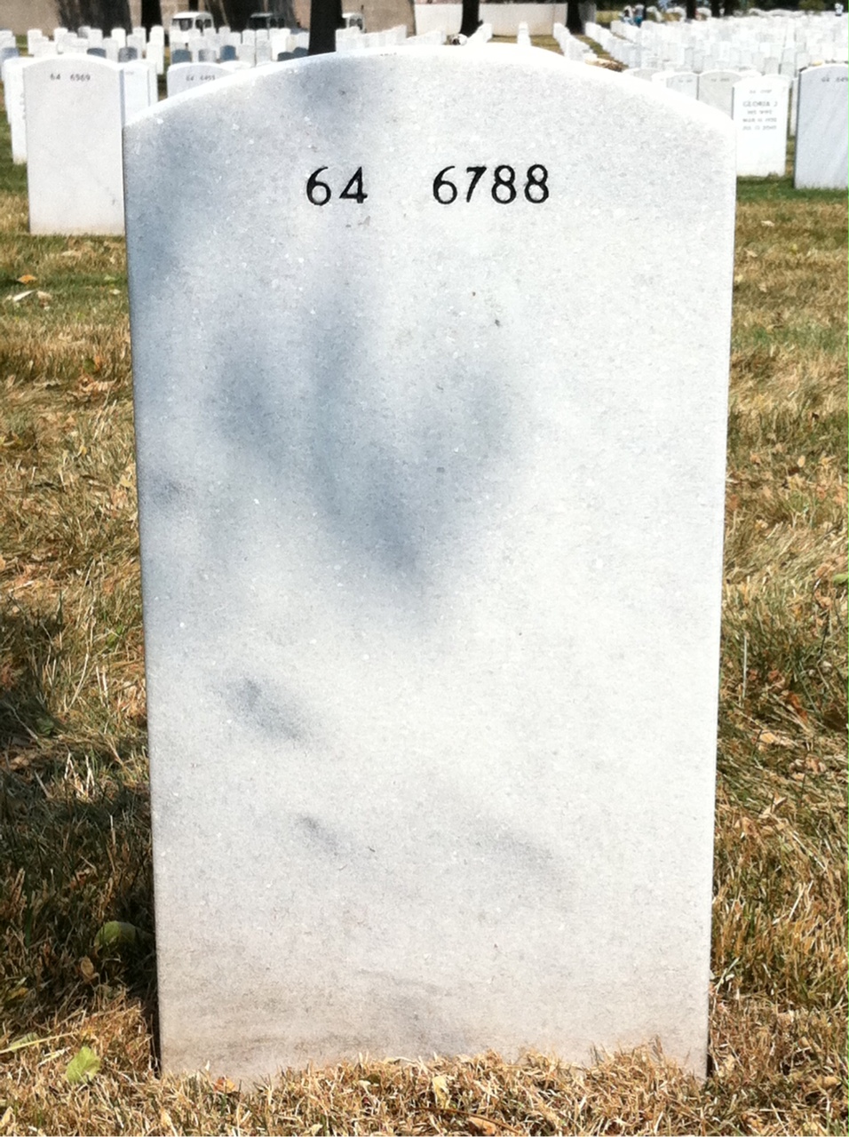 Back of headstone — Harry Rosenthal