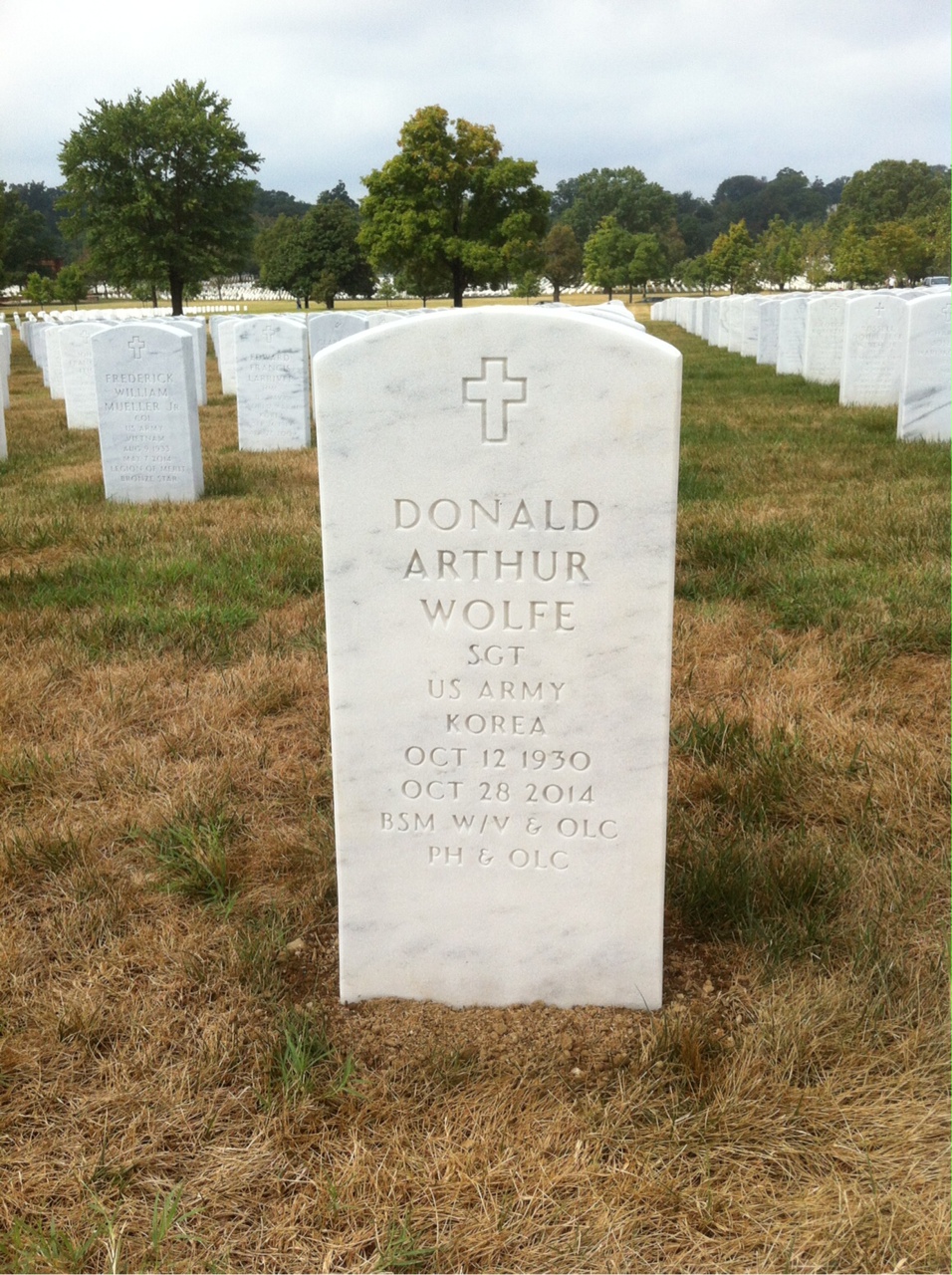 Donald Arthur Wolfe
