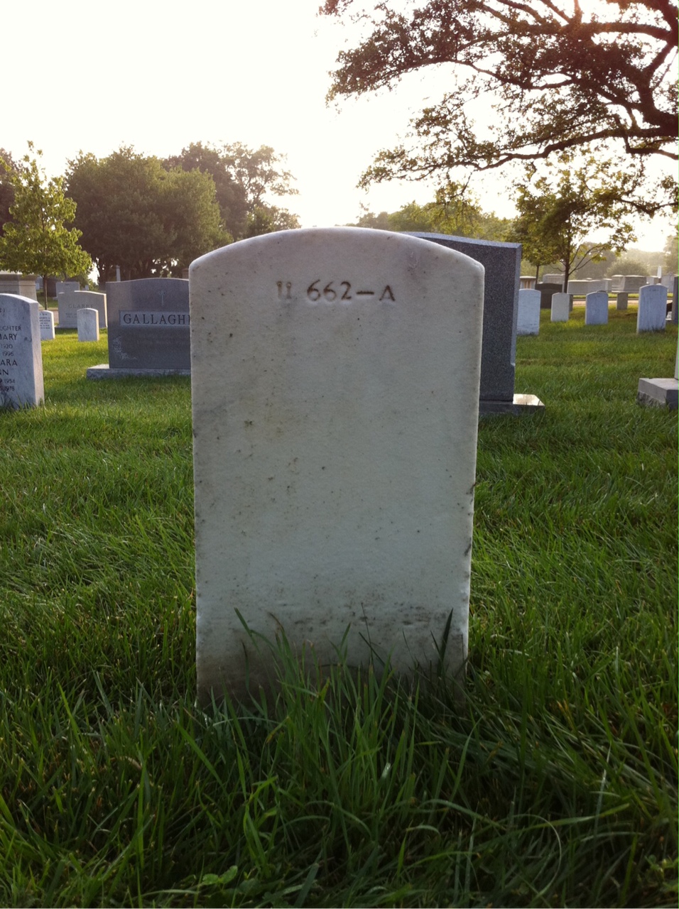 Back of headstone — Theodore William Johnson