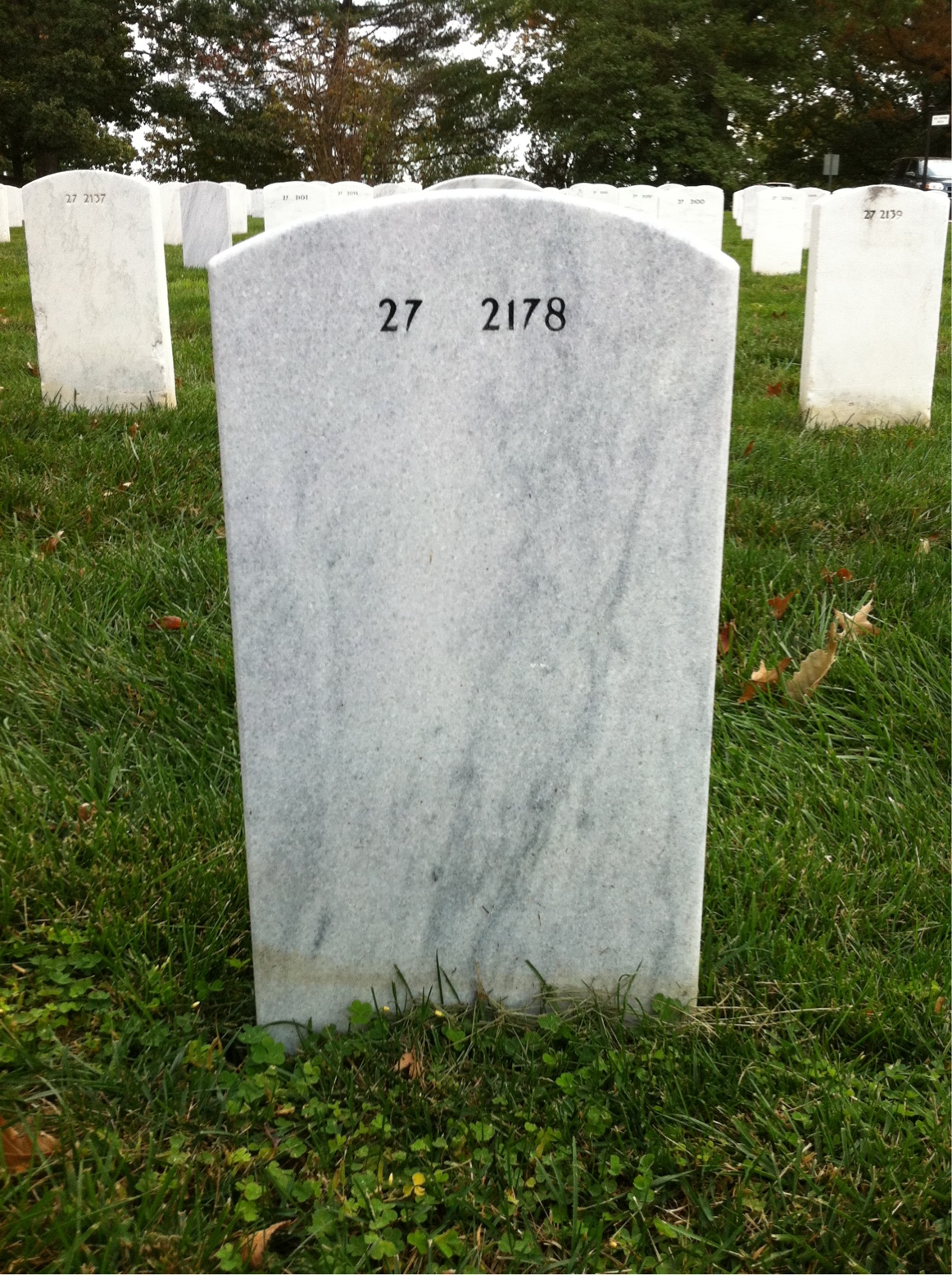 Back of headstone — Fanny Alexander