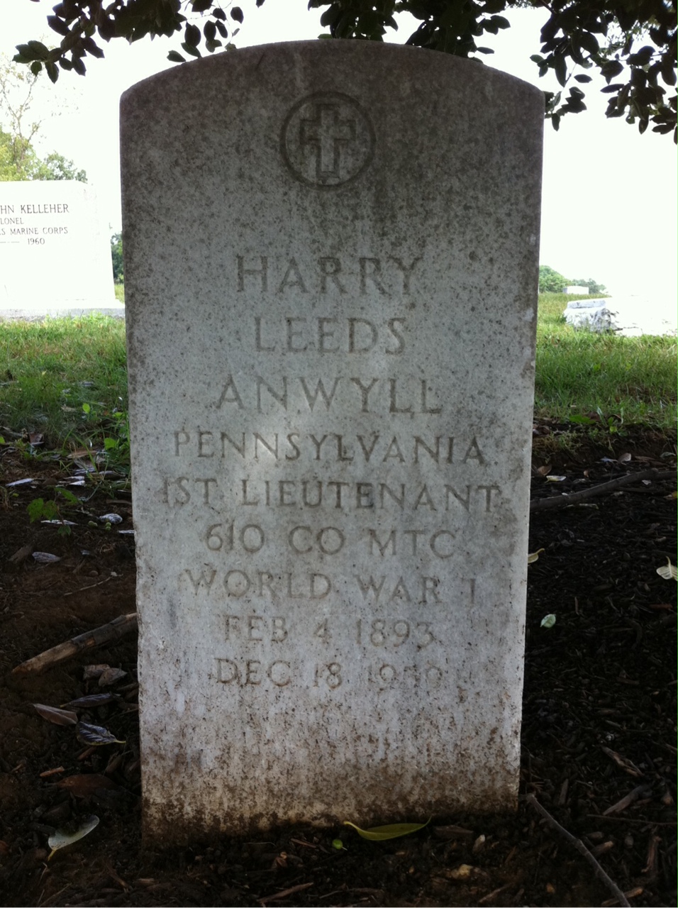 Harry Anwyll