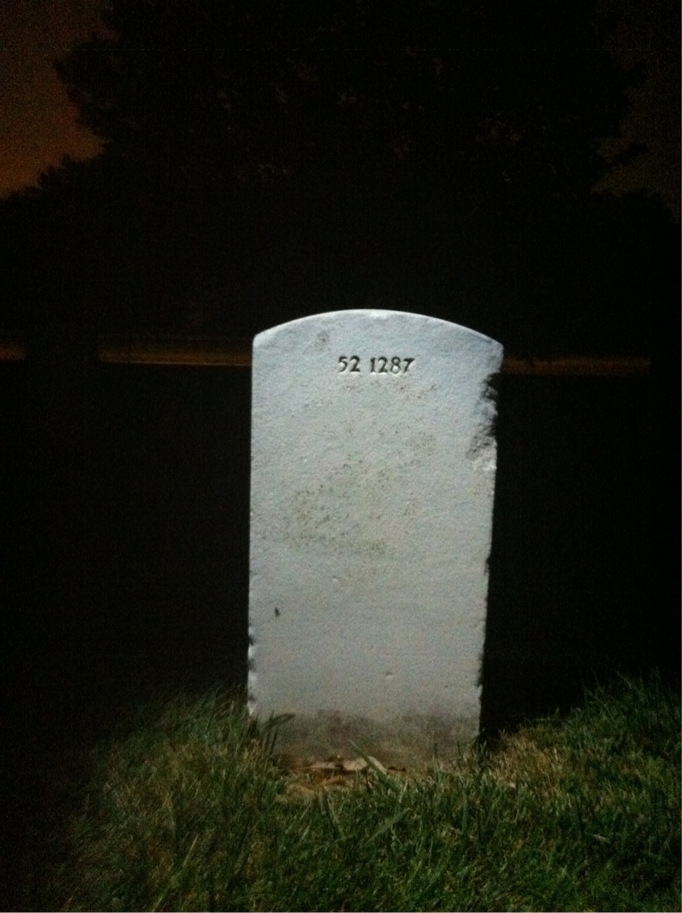 Headstone of James Lamont Palmer