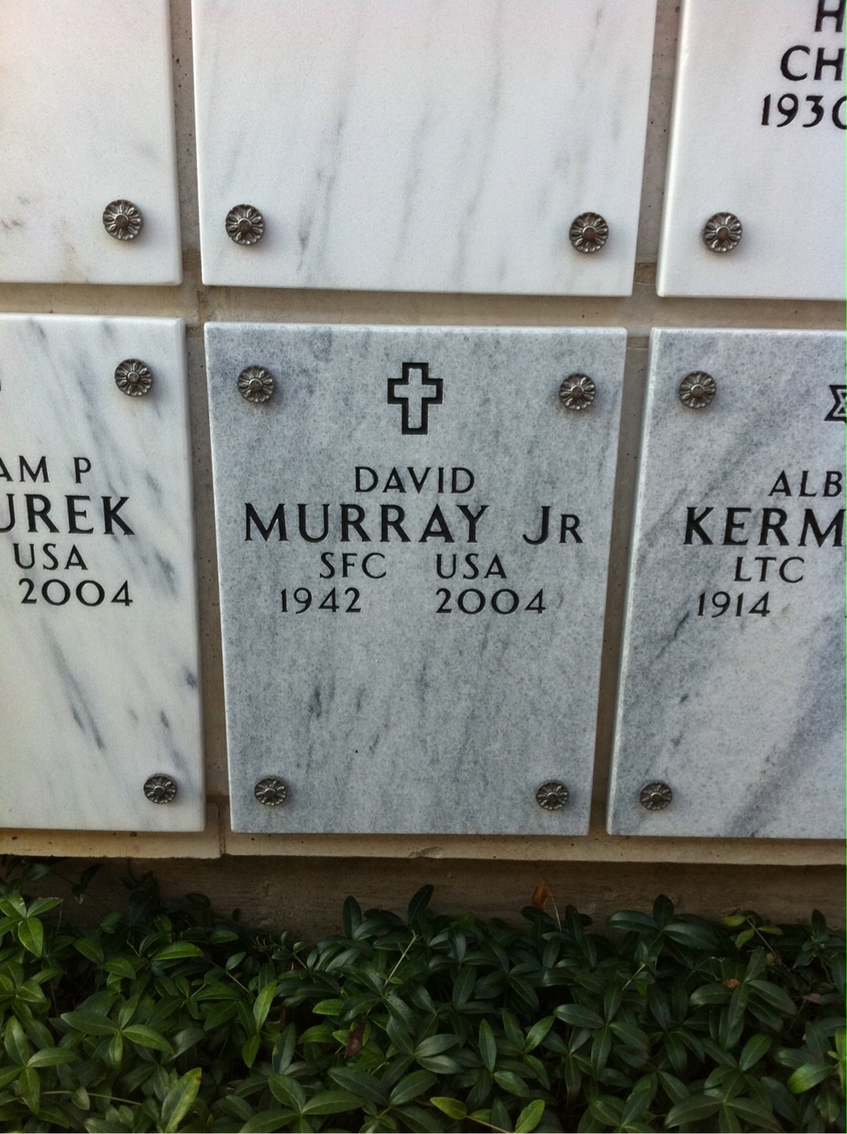 David Murray