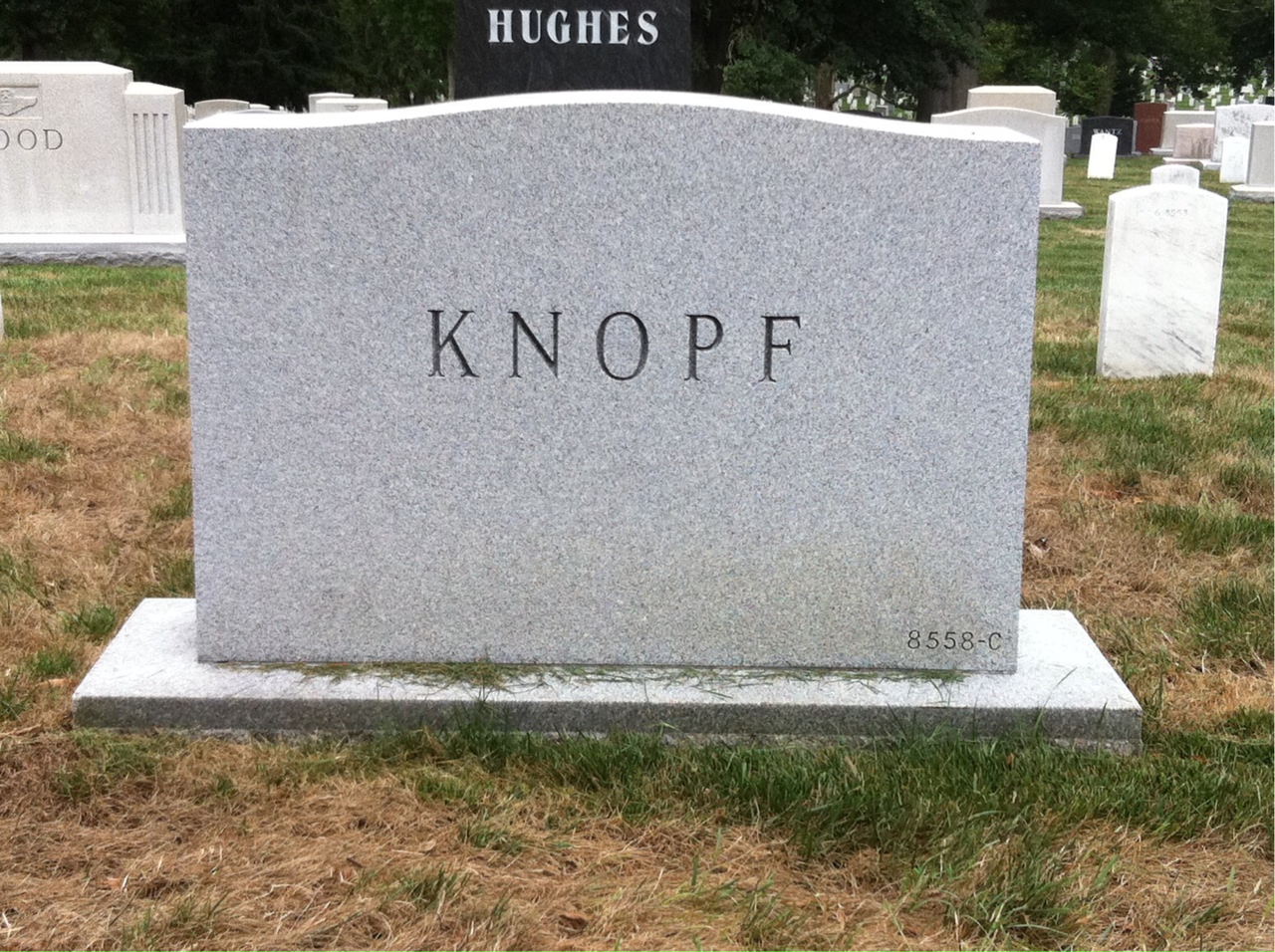 Back of headstone — Stacy Knopf