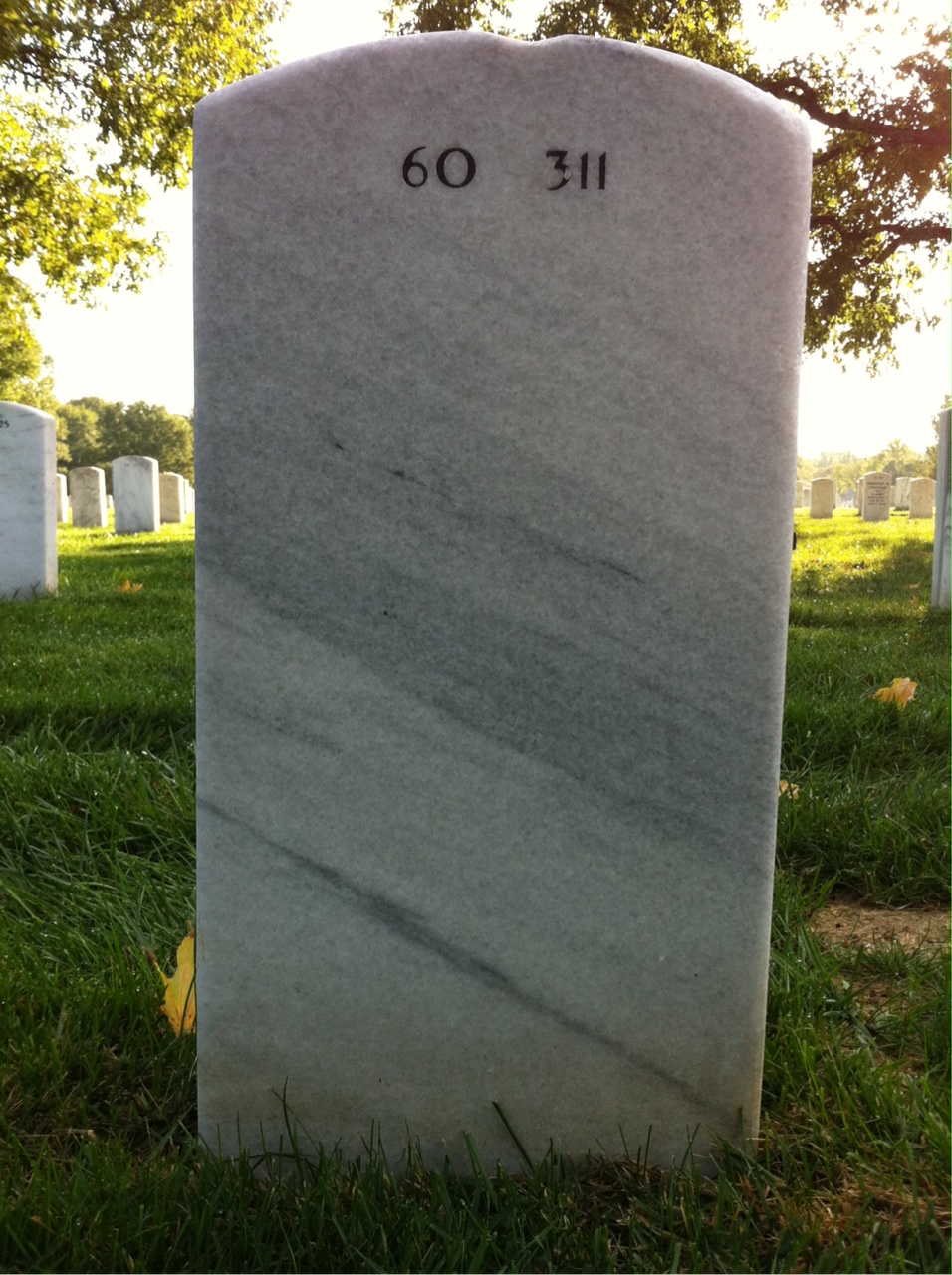 Back of headstone — Lawrence Cook