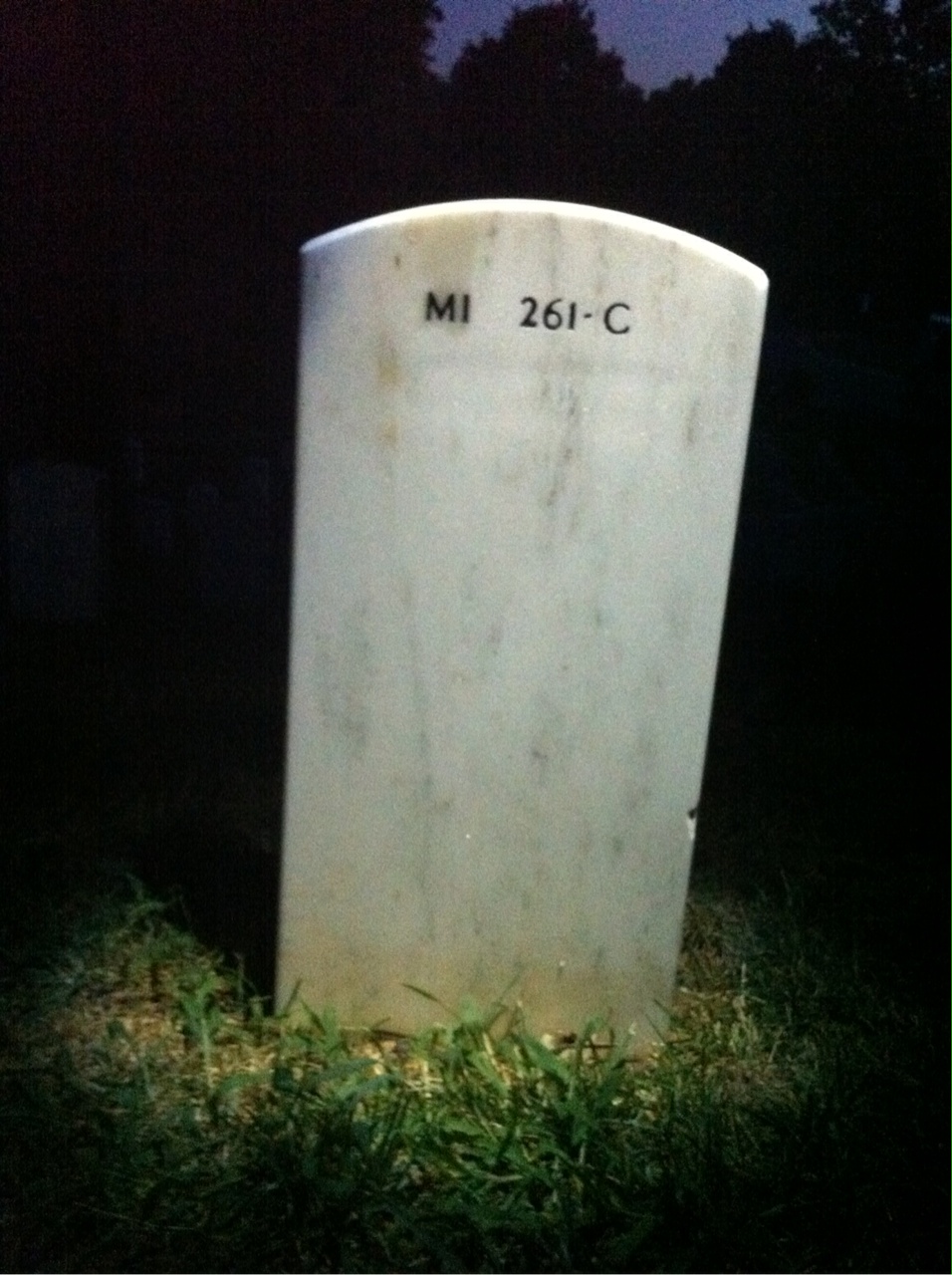 Back of headstone — Murray Weiss