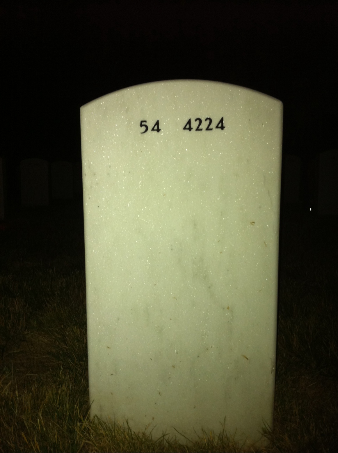 Back of headstone — George Deljanovan