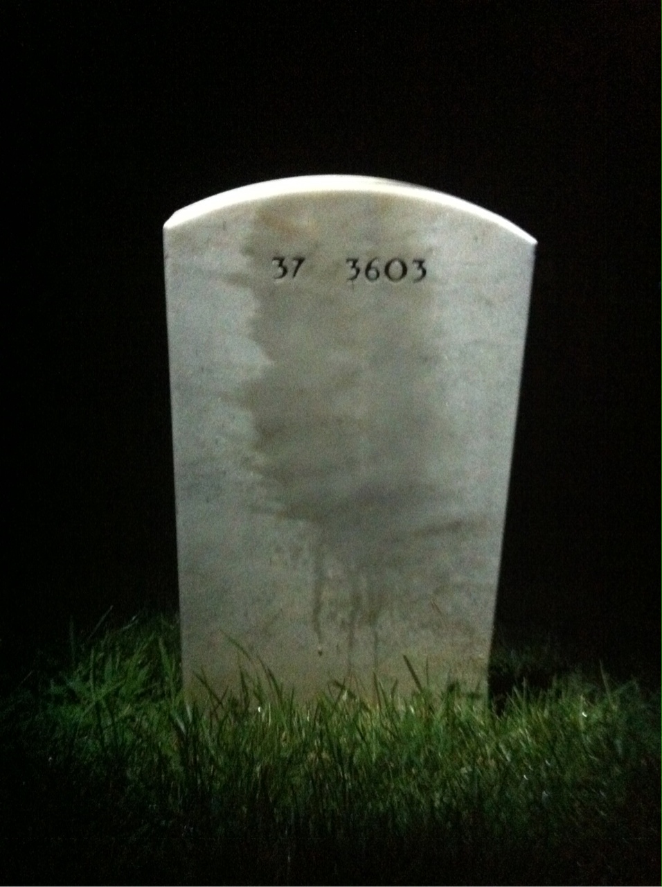 Back of headstone — Raymond L Lee