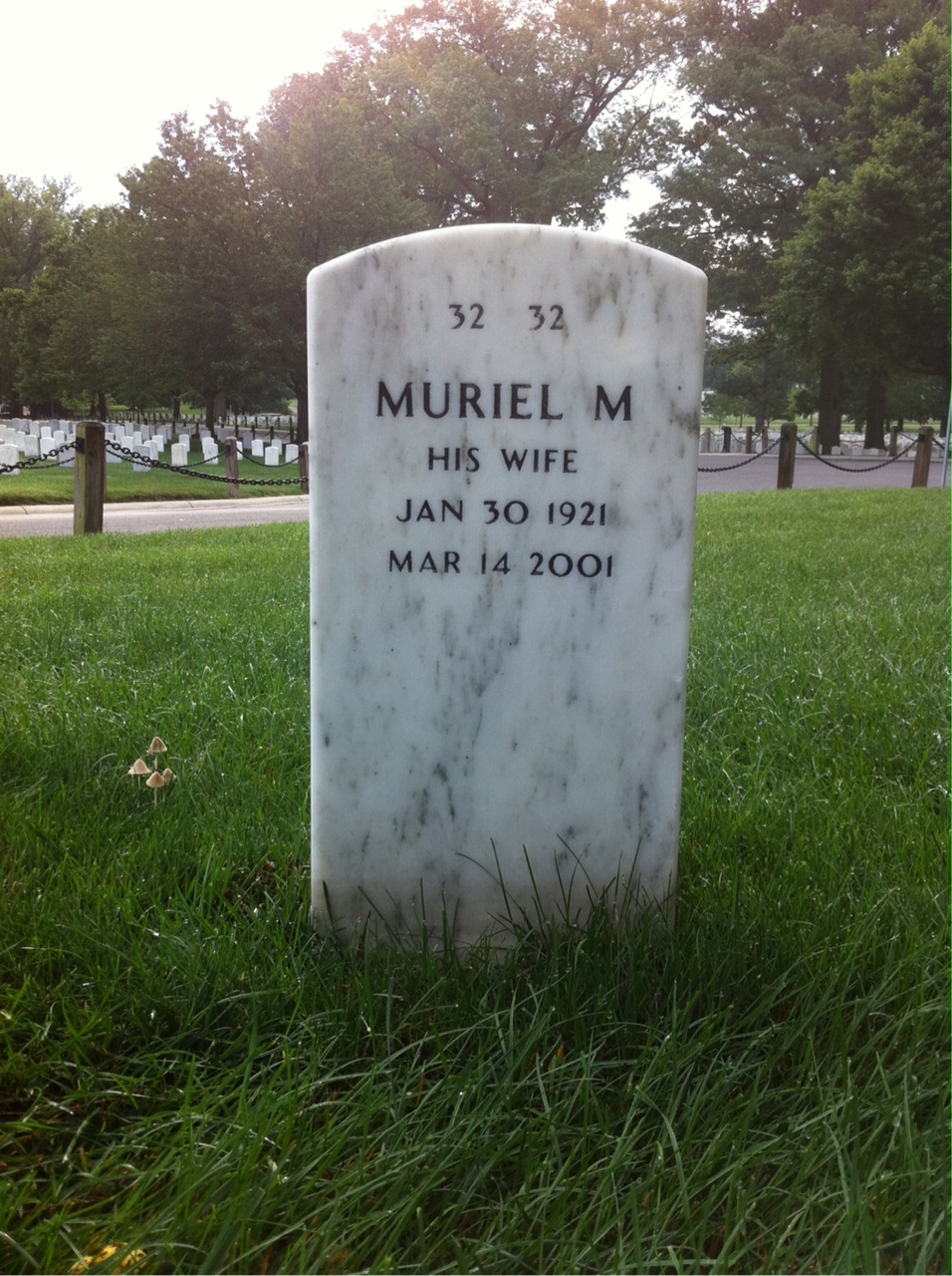Back of headstone — Robert Daugherty