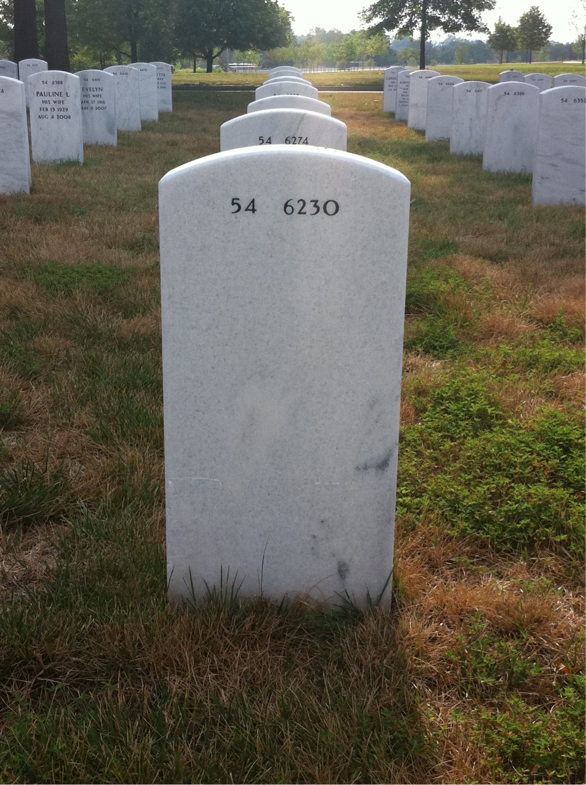 Back of headstone — Edwin Janski