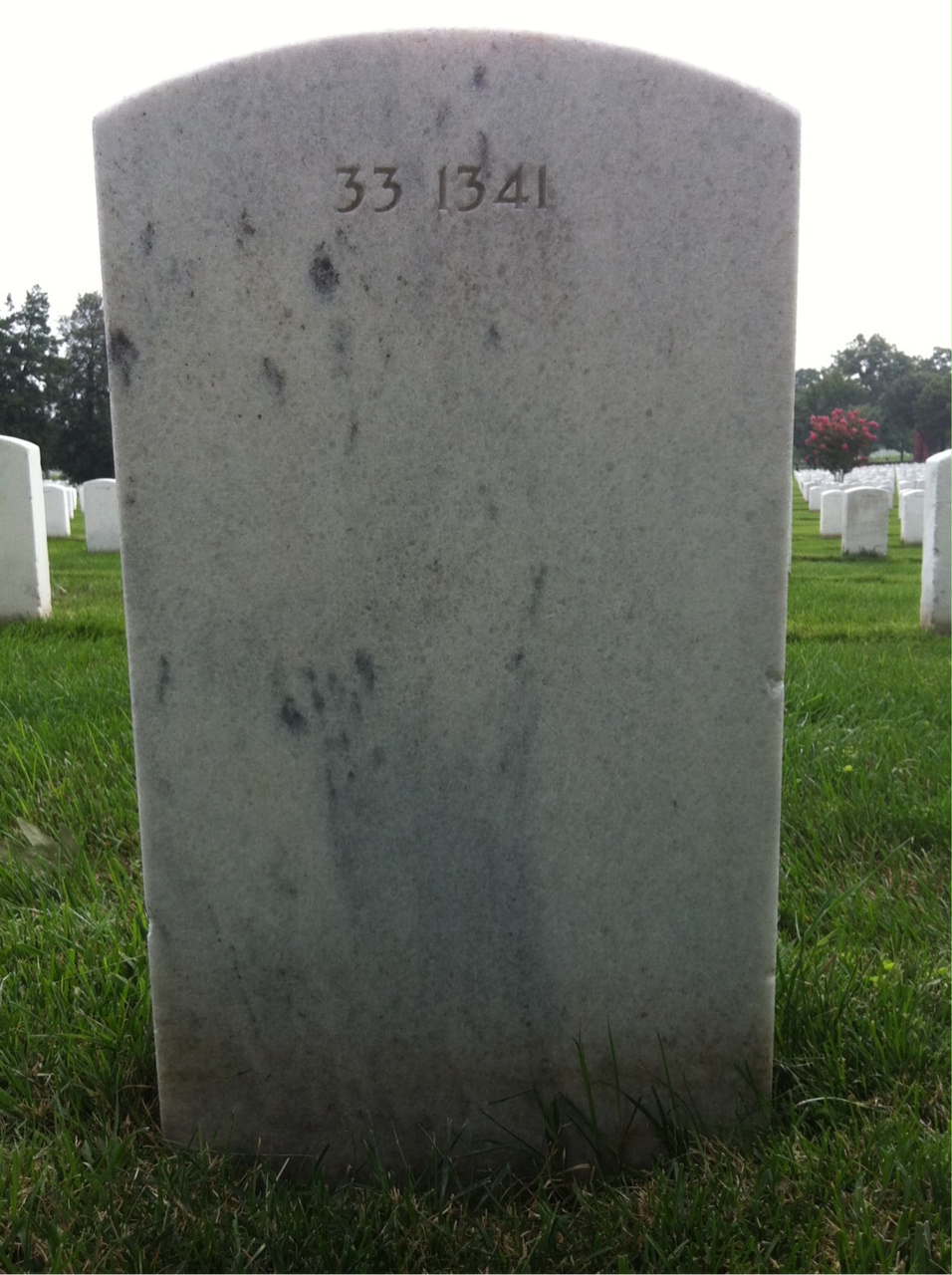 Back of headstone — Laura Baugus