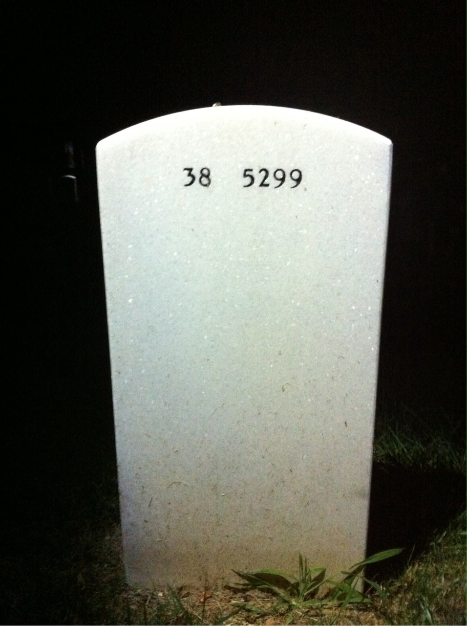 Back of headstone — Leslie Ellzey