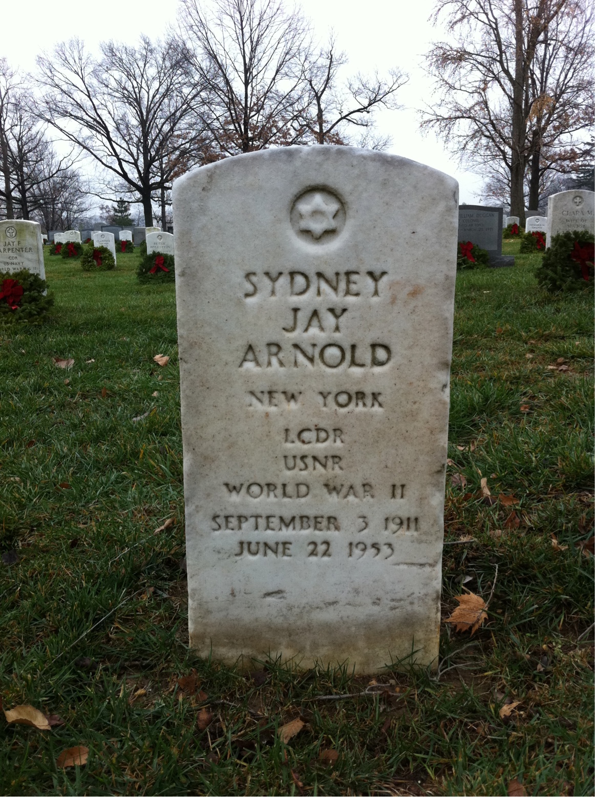 Sydney Arnold