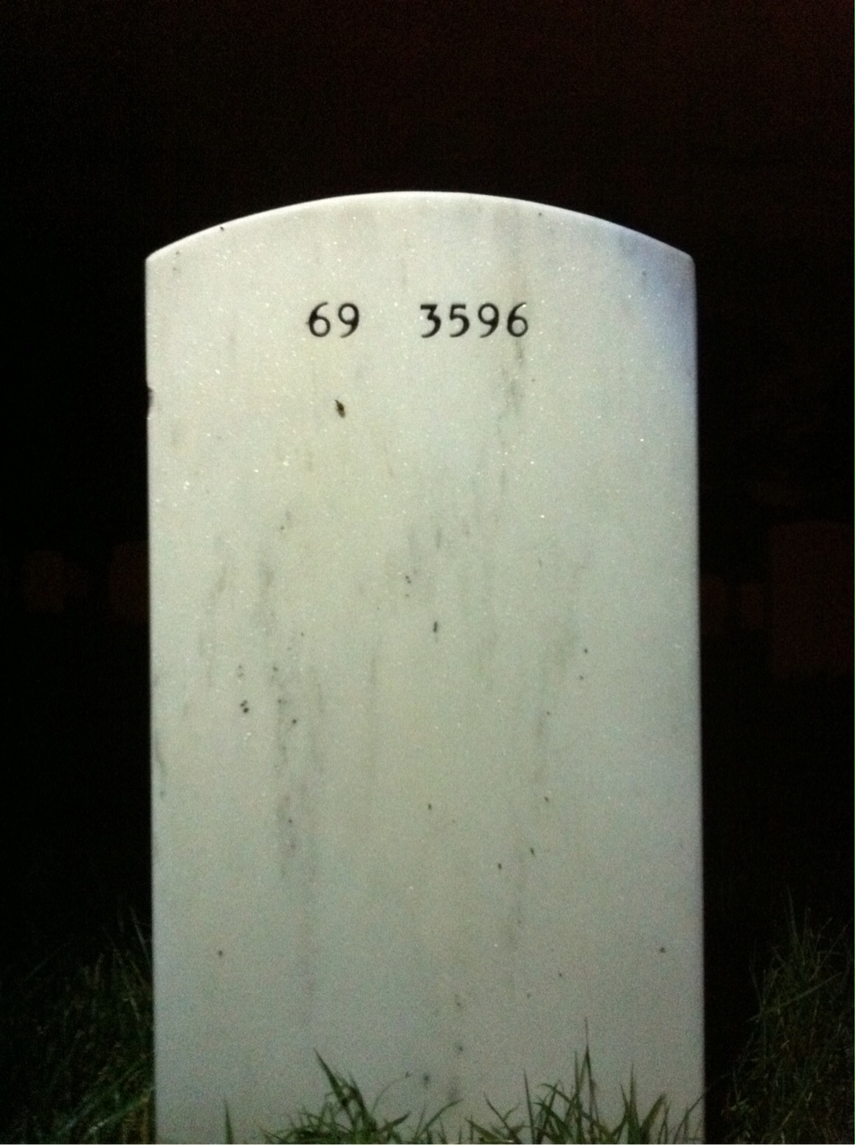Back of headstone — Lester Wicks
