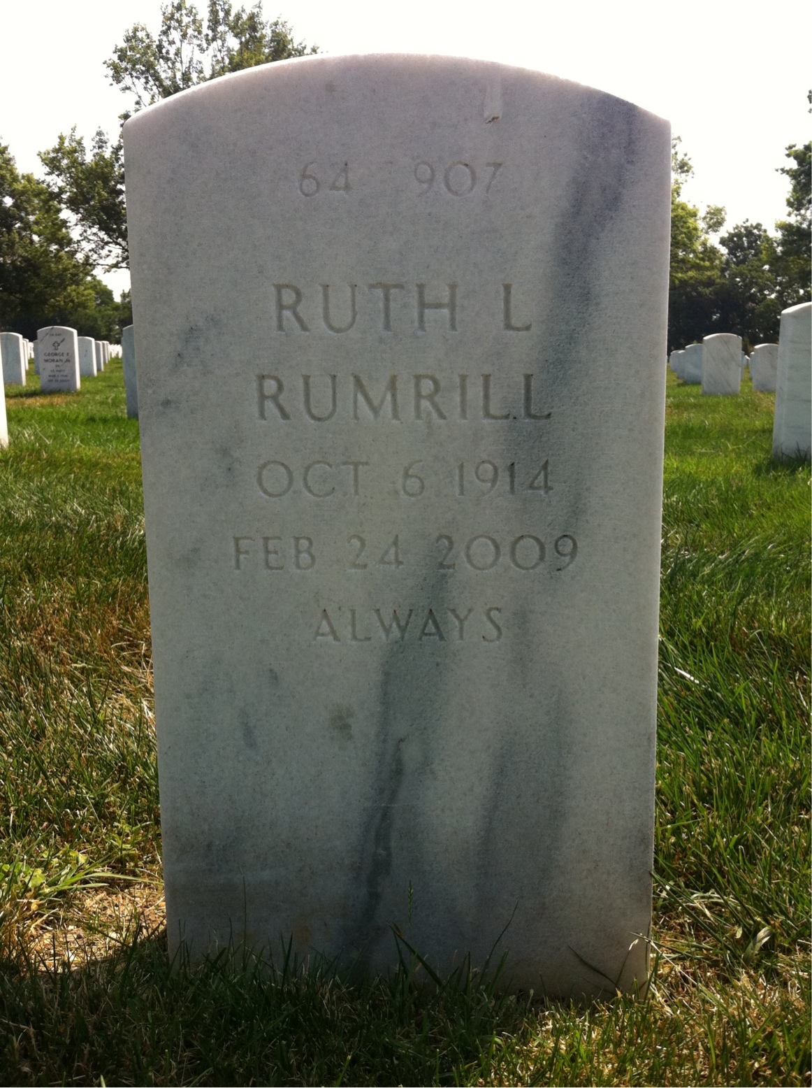 Back of headstone — Stephen Hollo