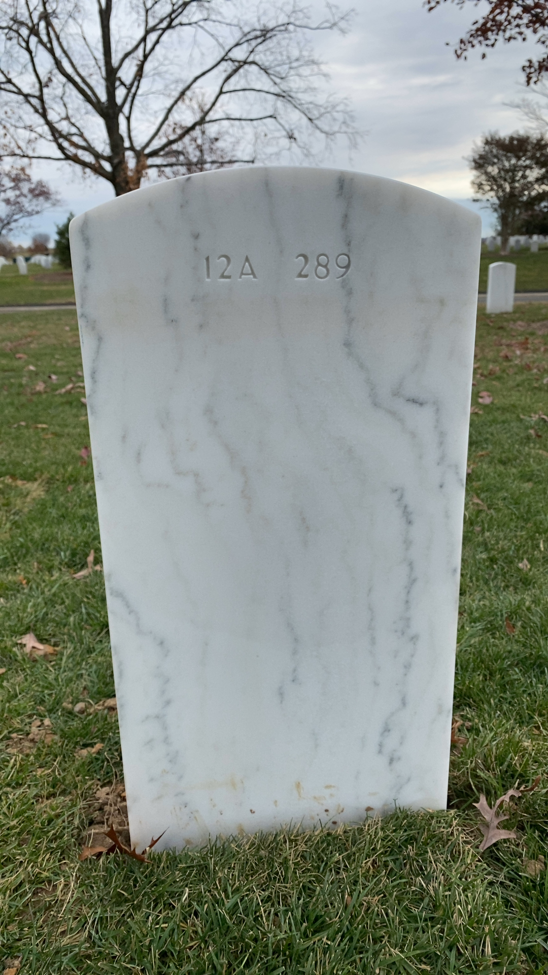 Back of headstone — Cheryl Ani