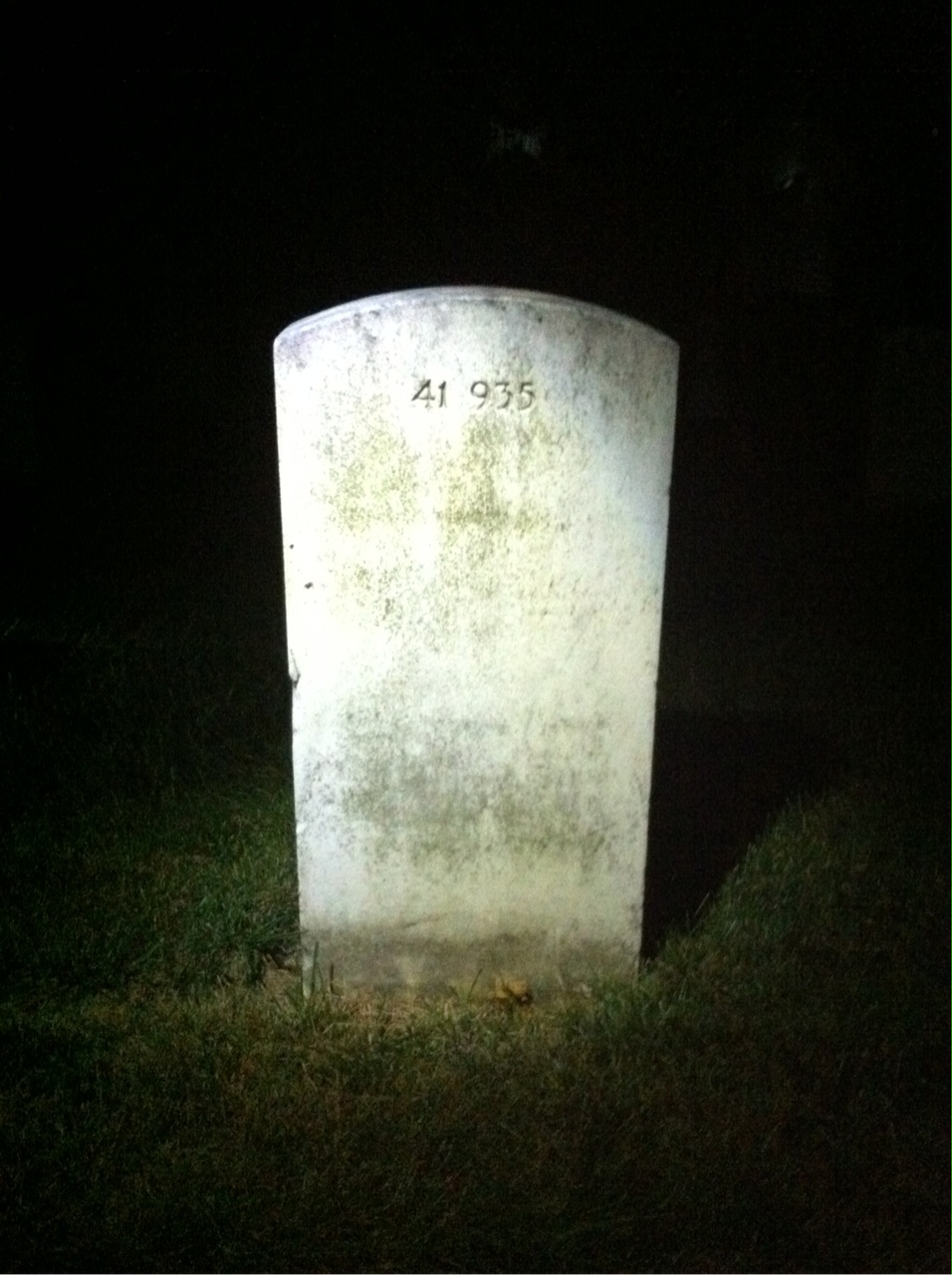 Back of headstone — William Alexander